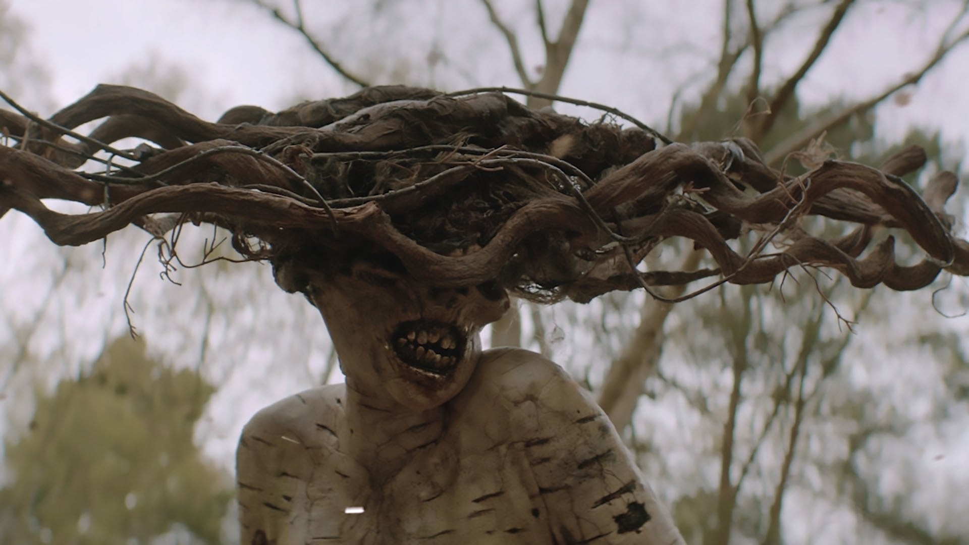 Foto do filme The Birch