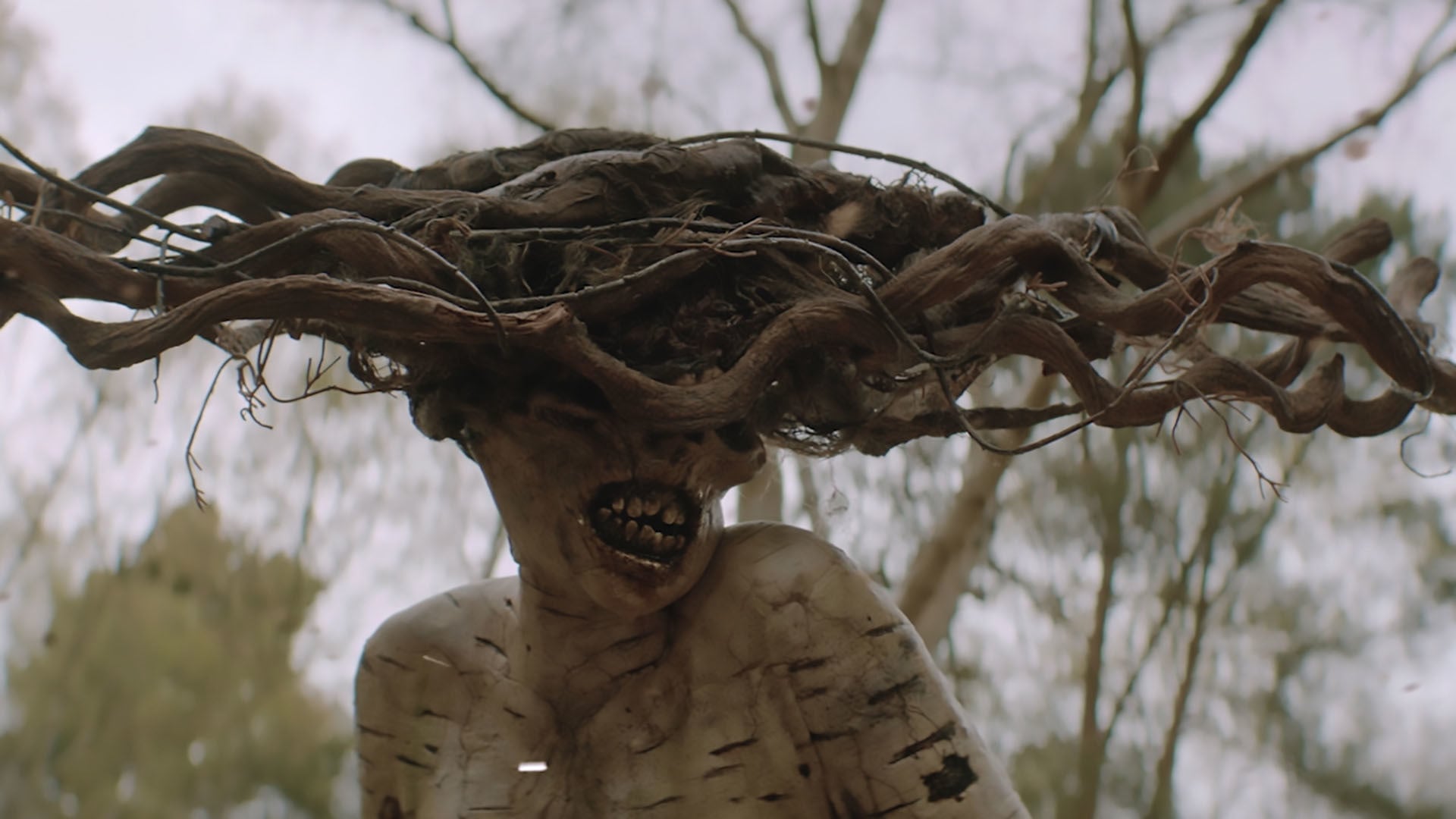 Foto do filme The Birch