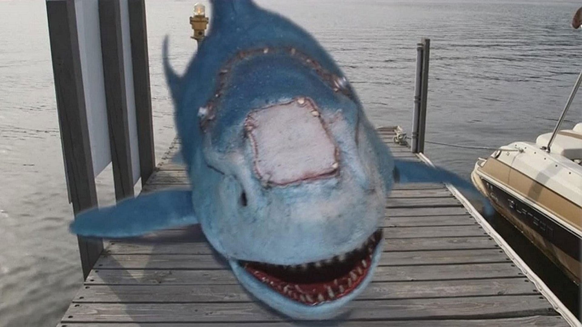 Foto do filme Sharkenstein