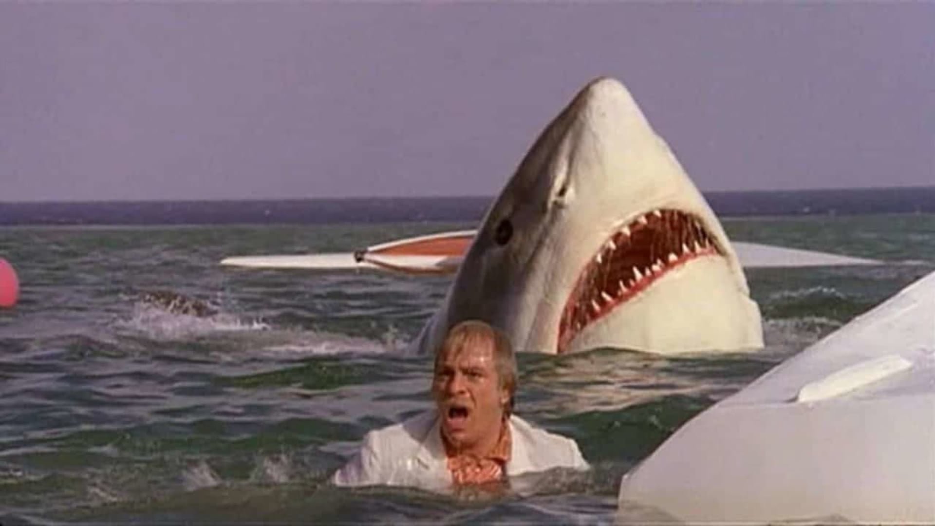 Foto do filme O Último Tubarão