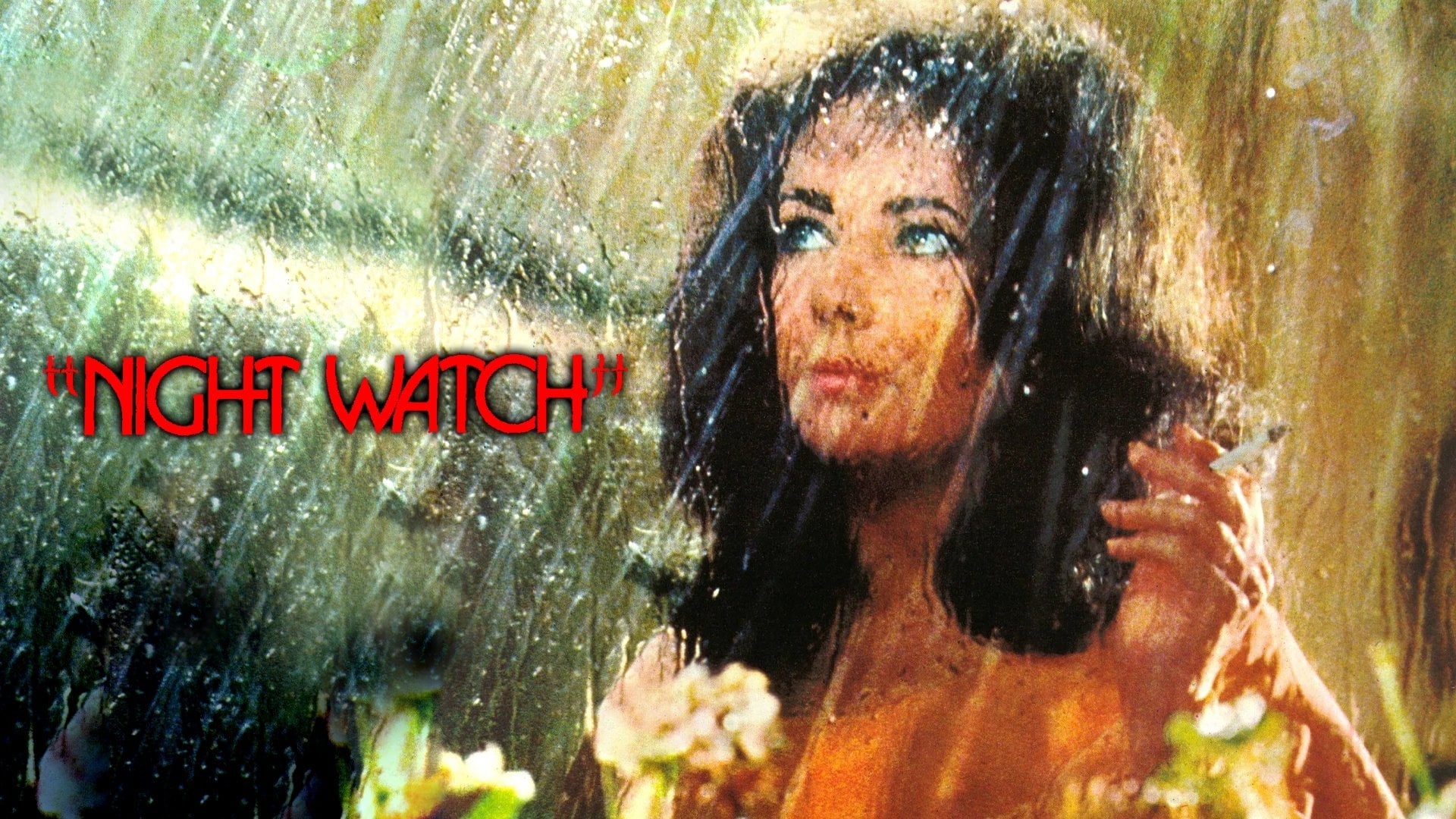 Foto do filme Vigília nas Sombras