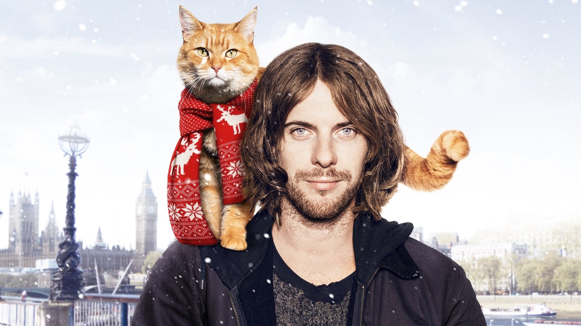 Foto do filme Um Gato de Rua Chamado Bob