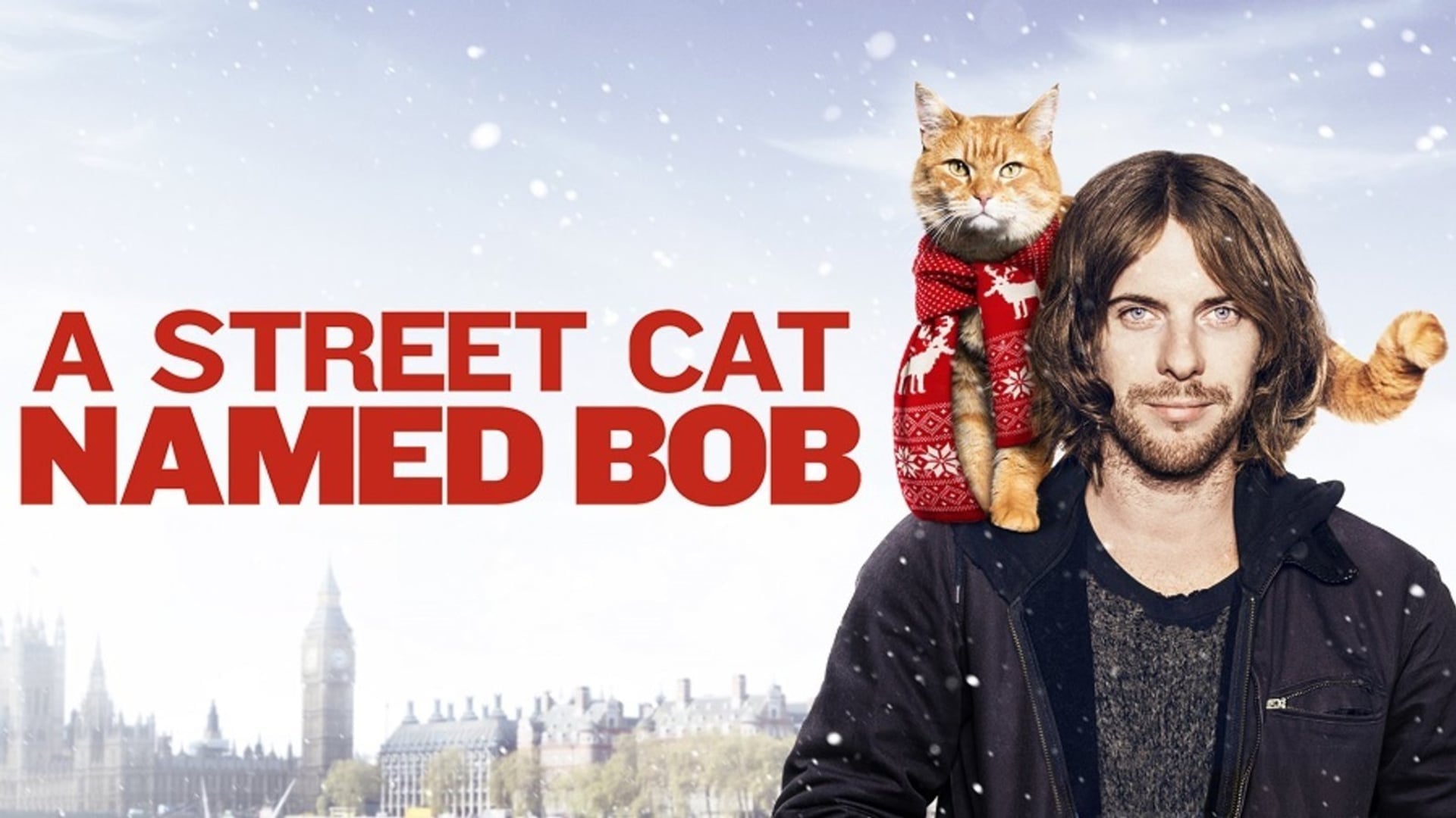 Foto do filme Um Gato de Rua Chamado Bob