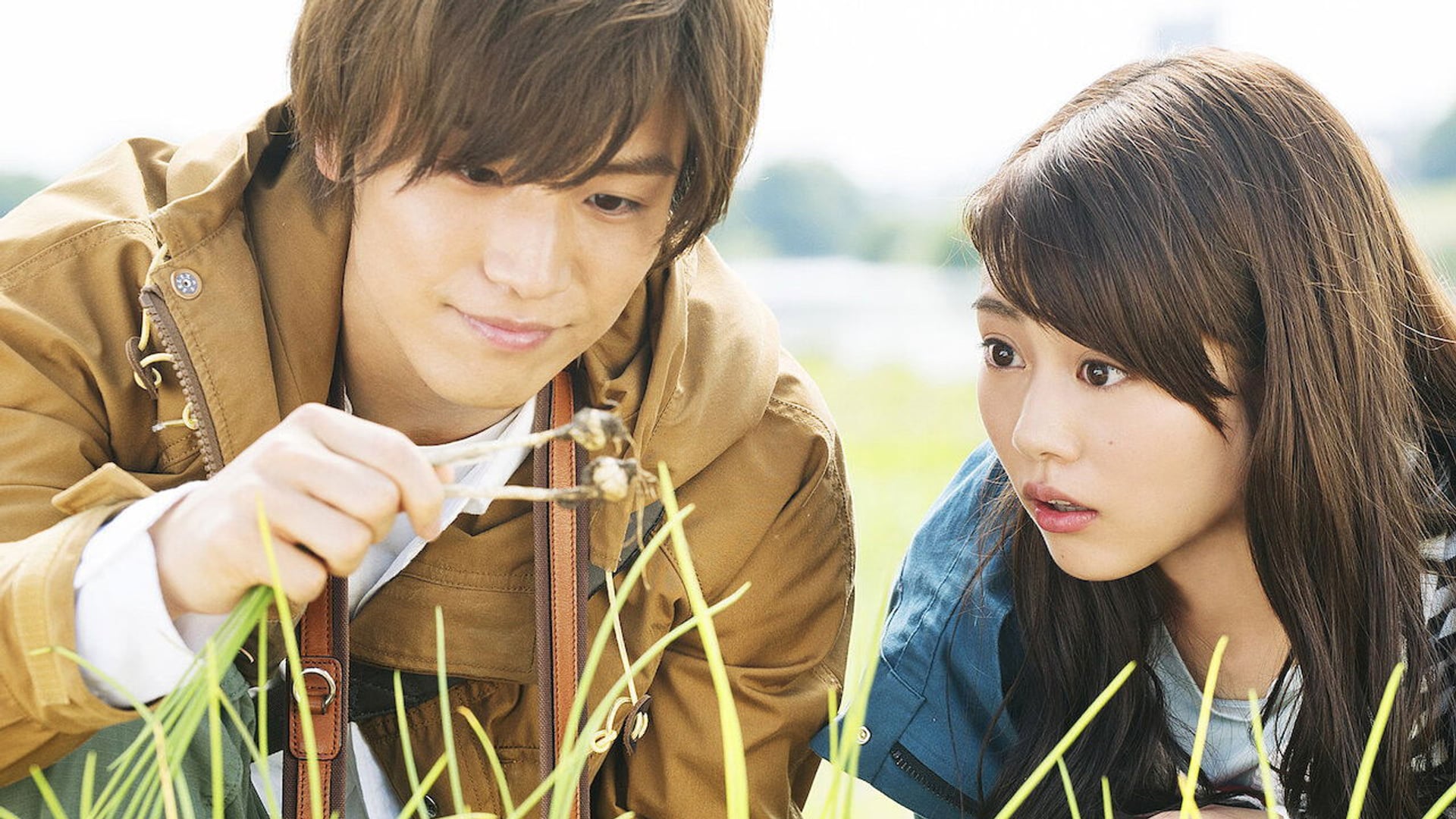 Foto do filme Evergreen Love