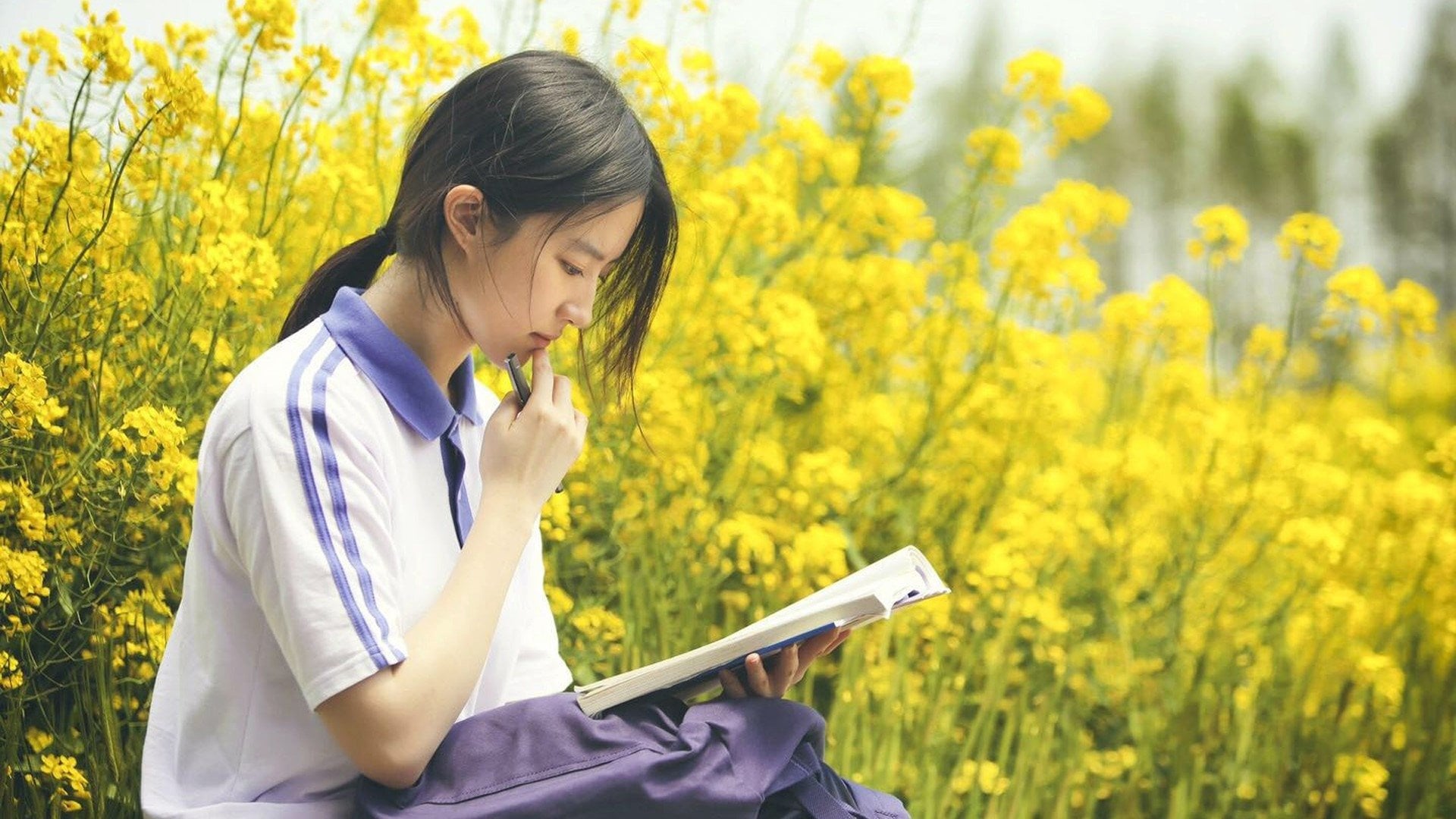 Foto do filme So Young 2: Never Gone