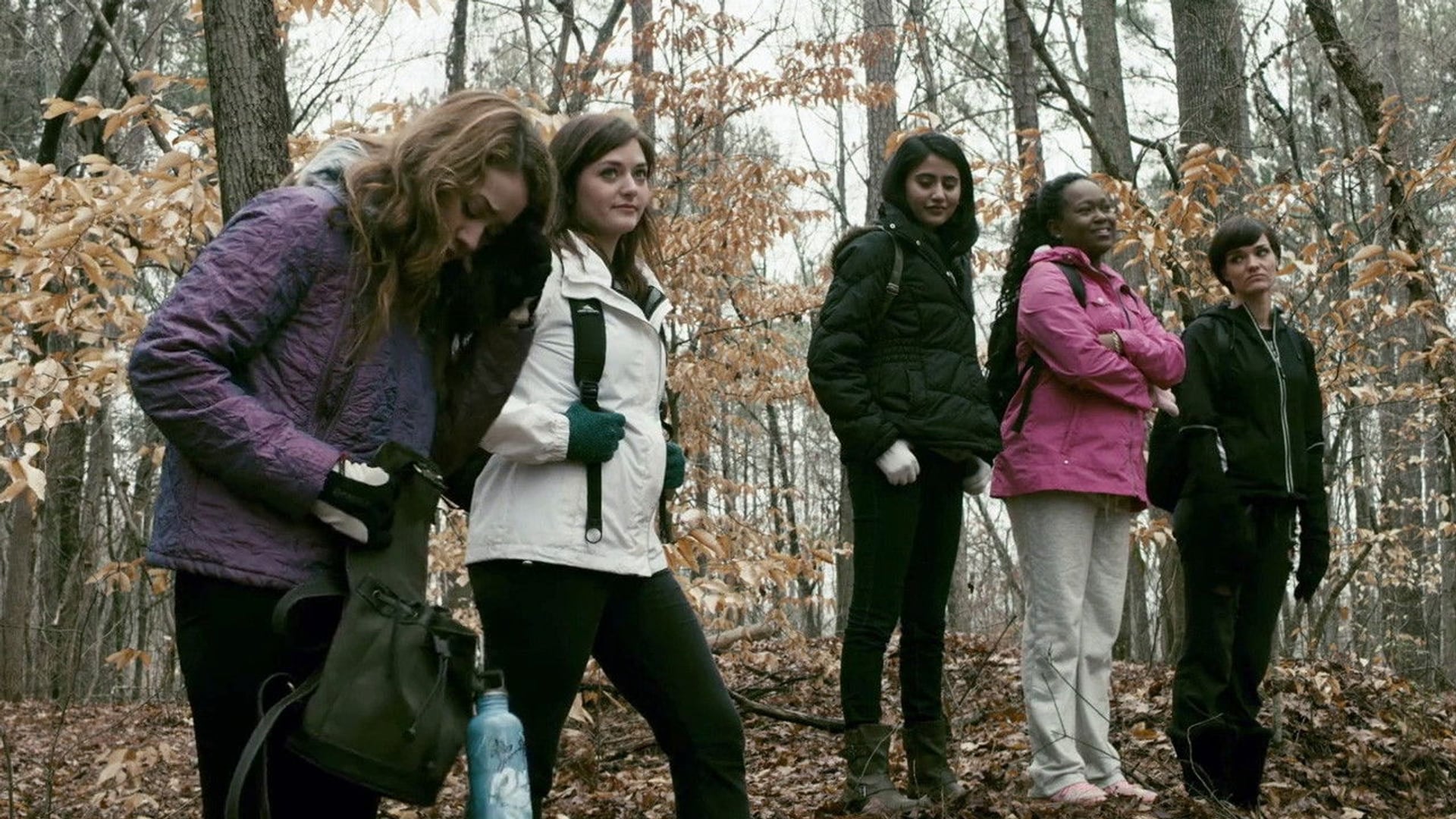 Foto do filme A Maldição da Floresta