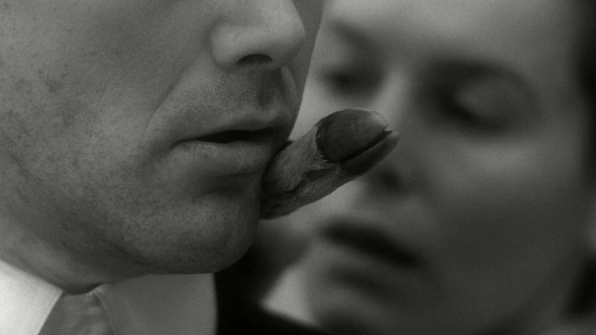 Foto do filme Institute Benjamenta, or This Dream People Call Human Life