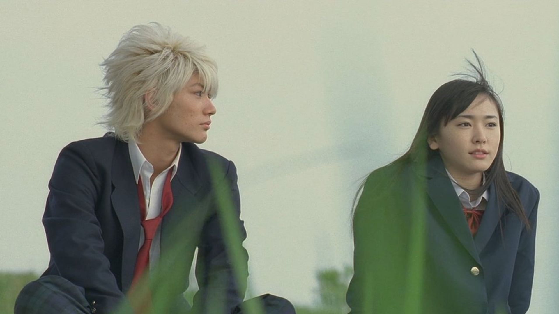 Foto do filme Koizora