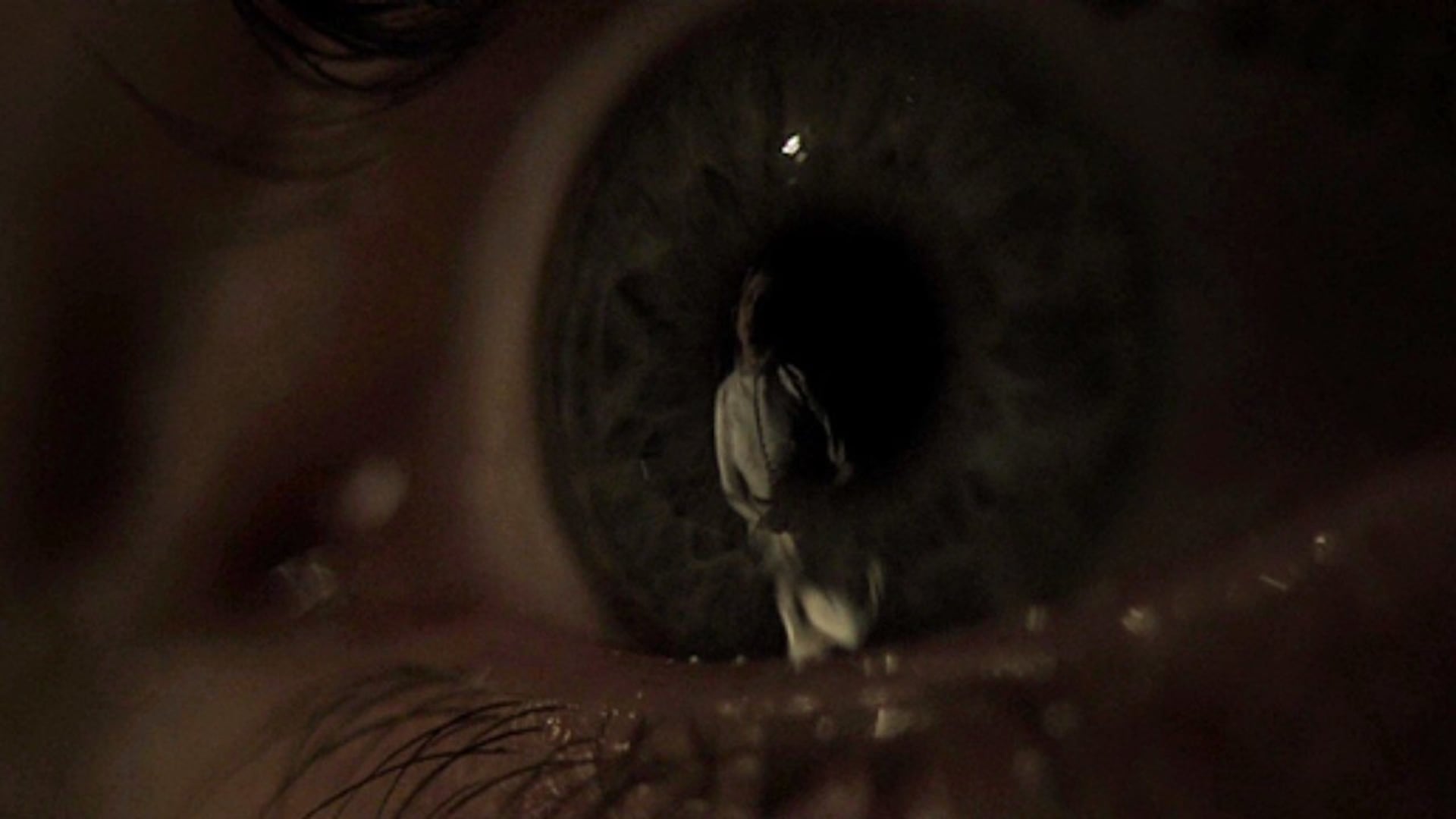 Foto do filme O Último Capítulo