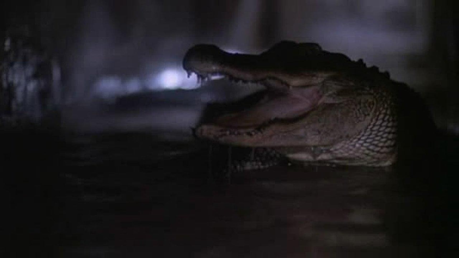 Foto do filme Alligator 2: A Mutação