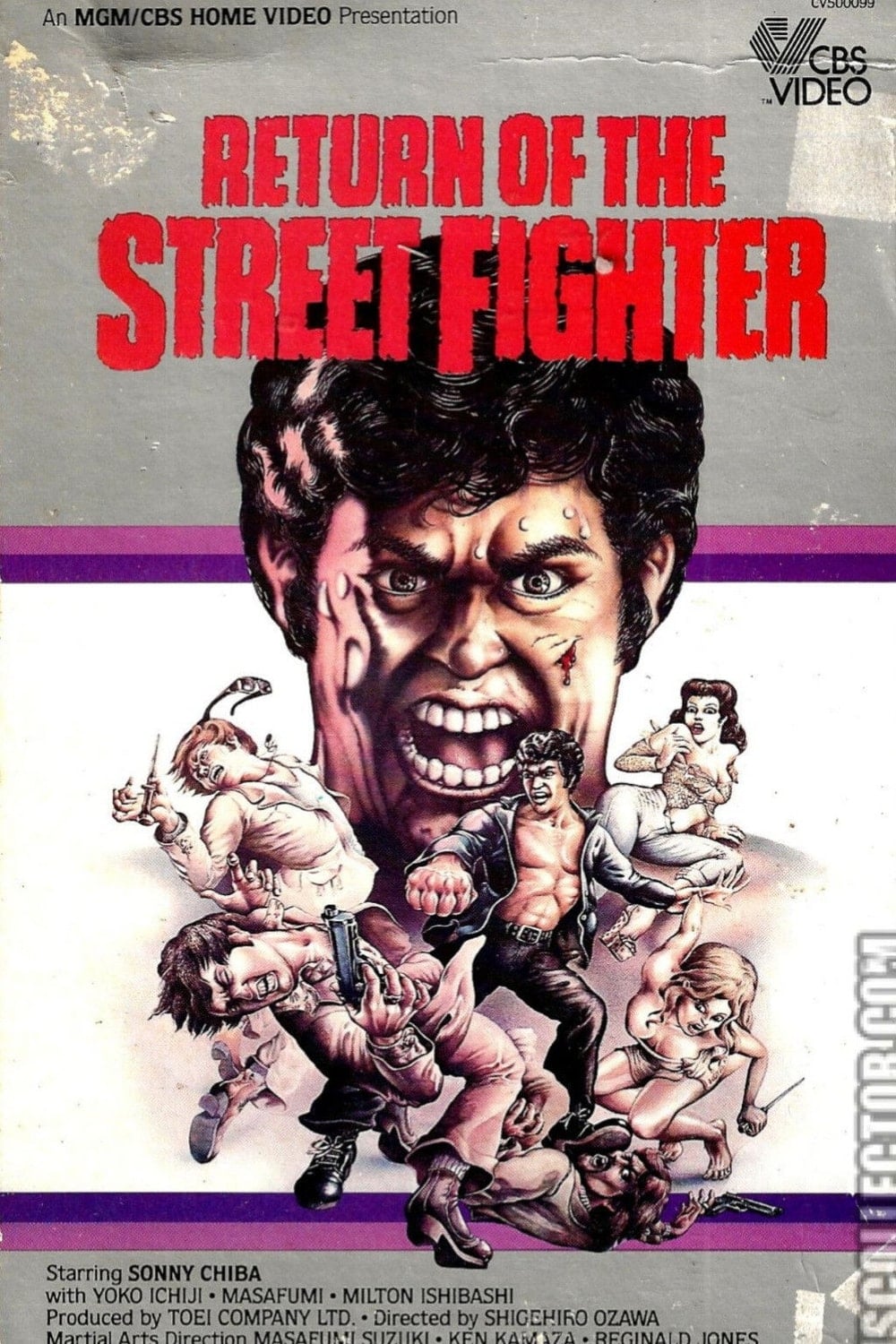 Return of the Street Fighter