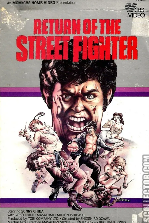 Return of the Street Fighter