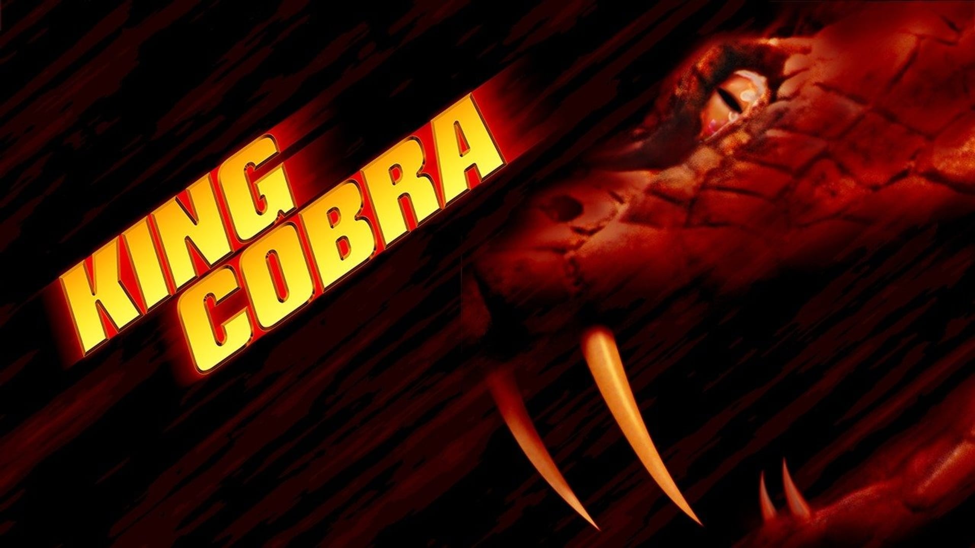 Foto do filme King Cobra