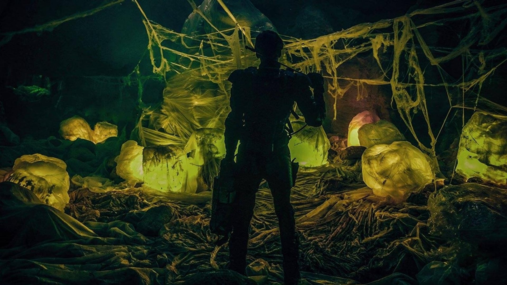 Foto do filme A Maldição das Formigas Gigantes