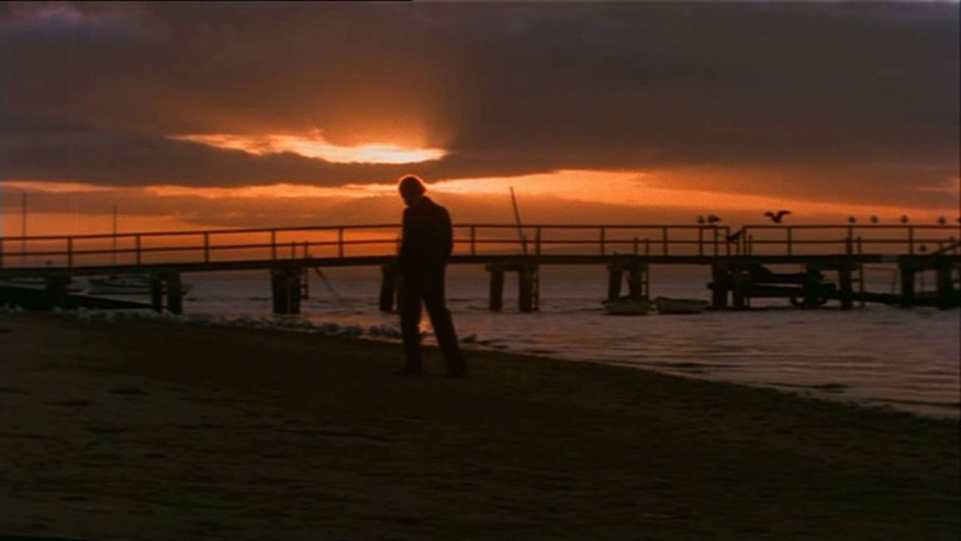 Foto do filme Summerfield