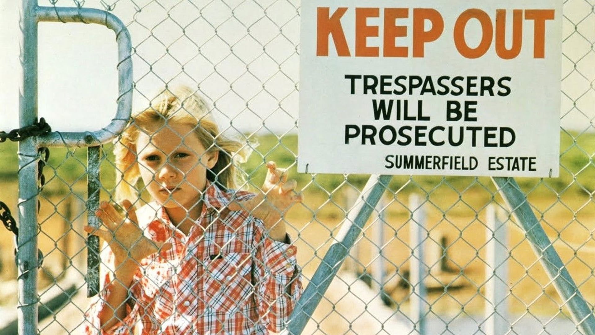 Foto do filme Summerfield