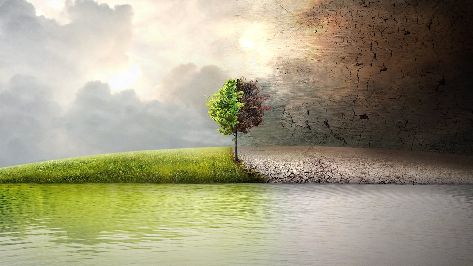 Foto do filme Seremos História?