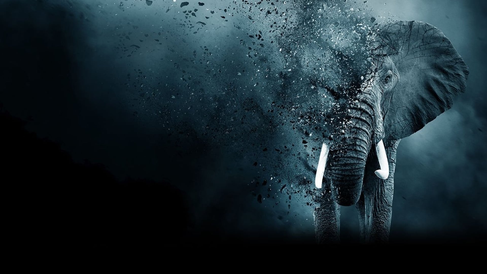 Foto do filme O Extermínio do Marfim
