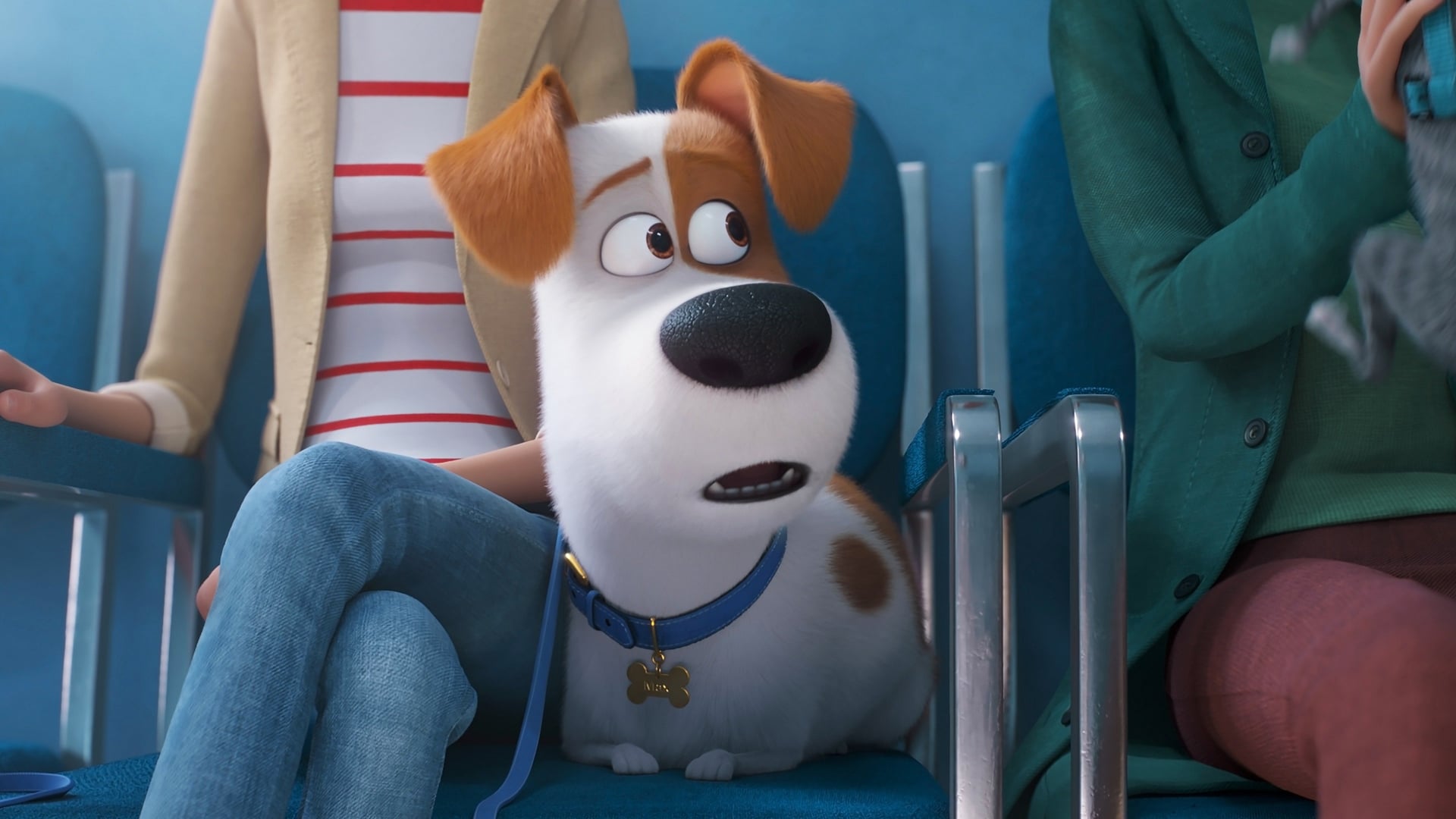 Foto do filme Pets: A Vida Secreta dos Bichos 2
