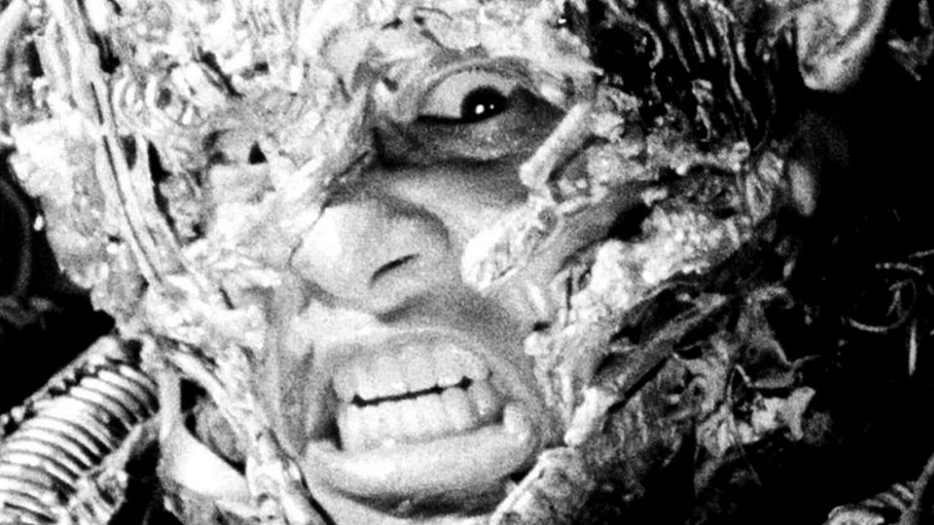 Foto do filme Tetsuo: O Homem de Ferro