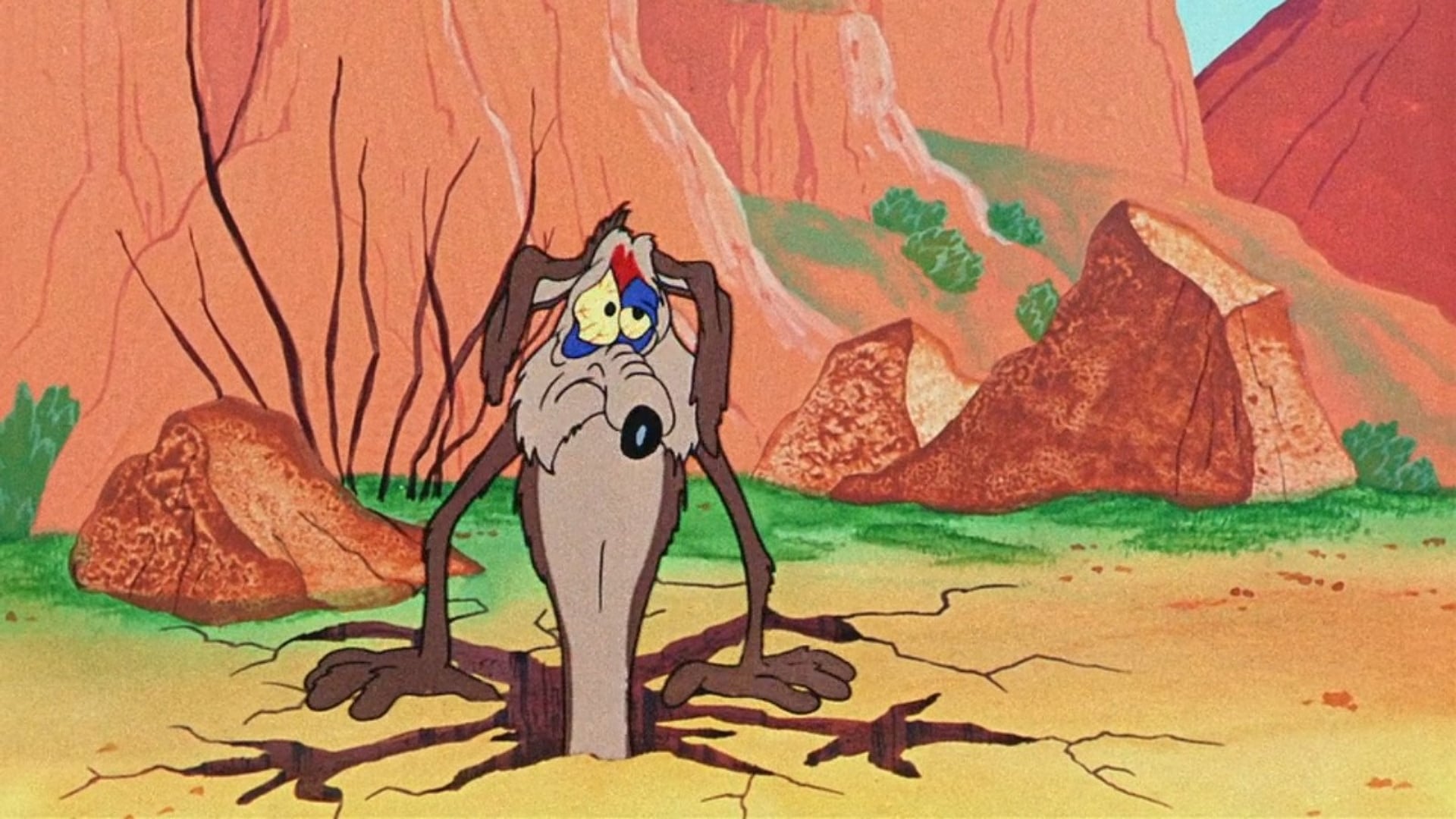 Foto do filme Beep, Beep