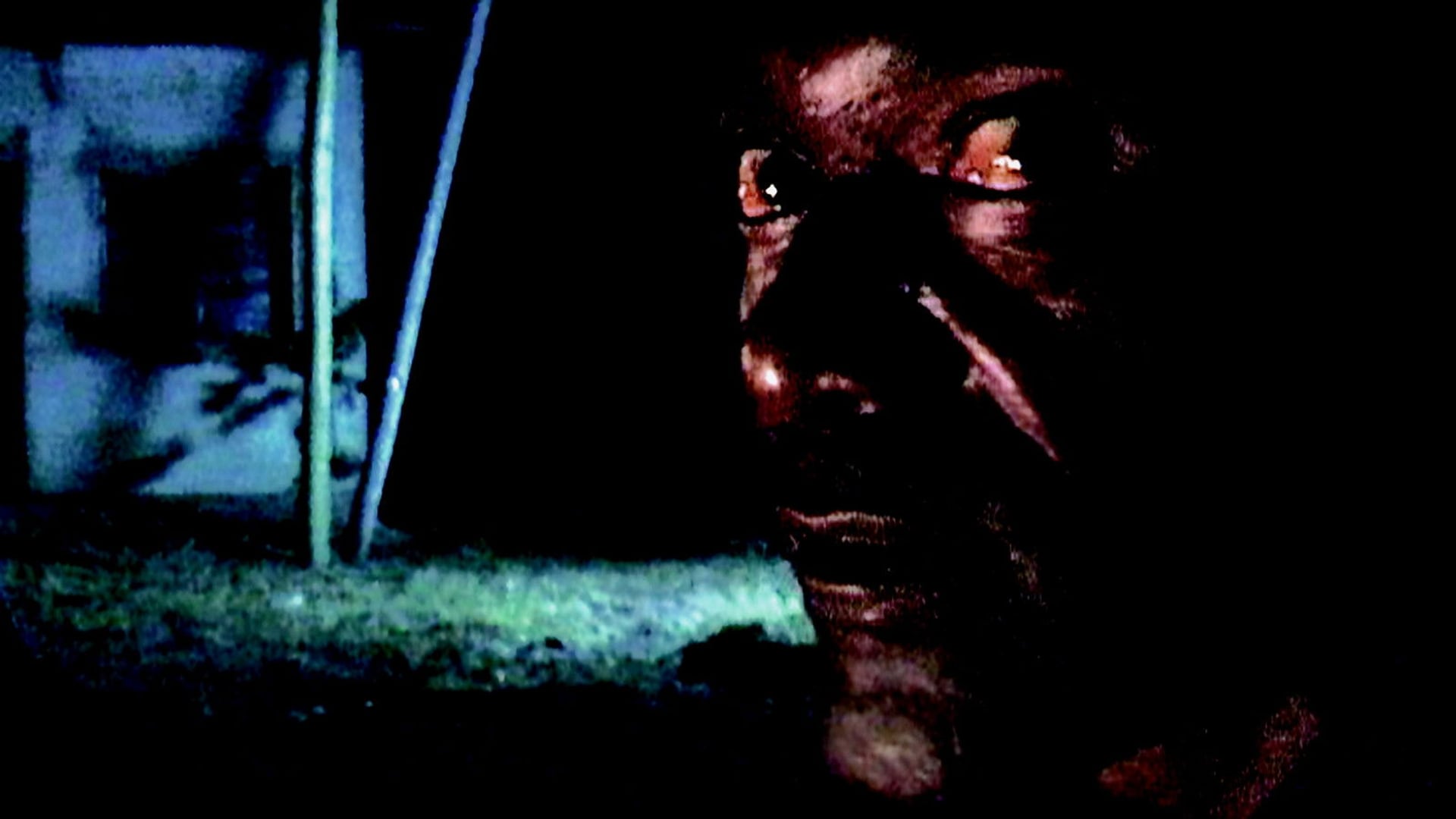 Foto do filme Darwin's Nightmare