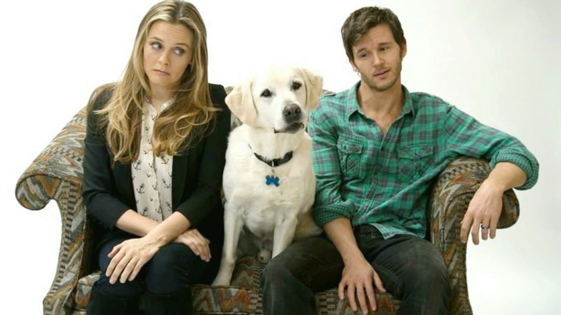 Foto do filme Um Cachorro Para Dois