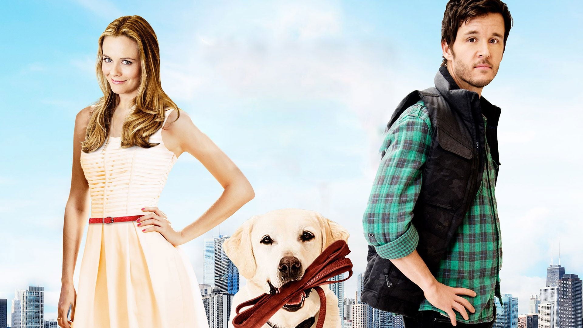 Foto do filme Um Cachorro Para Dois