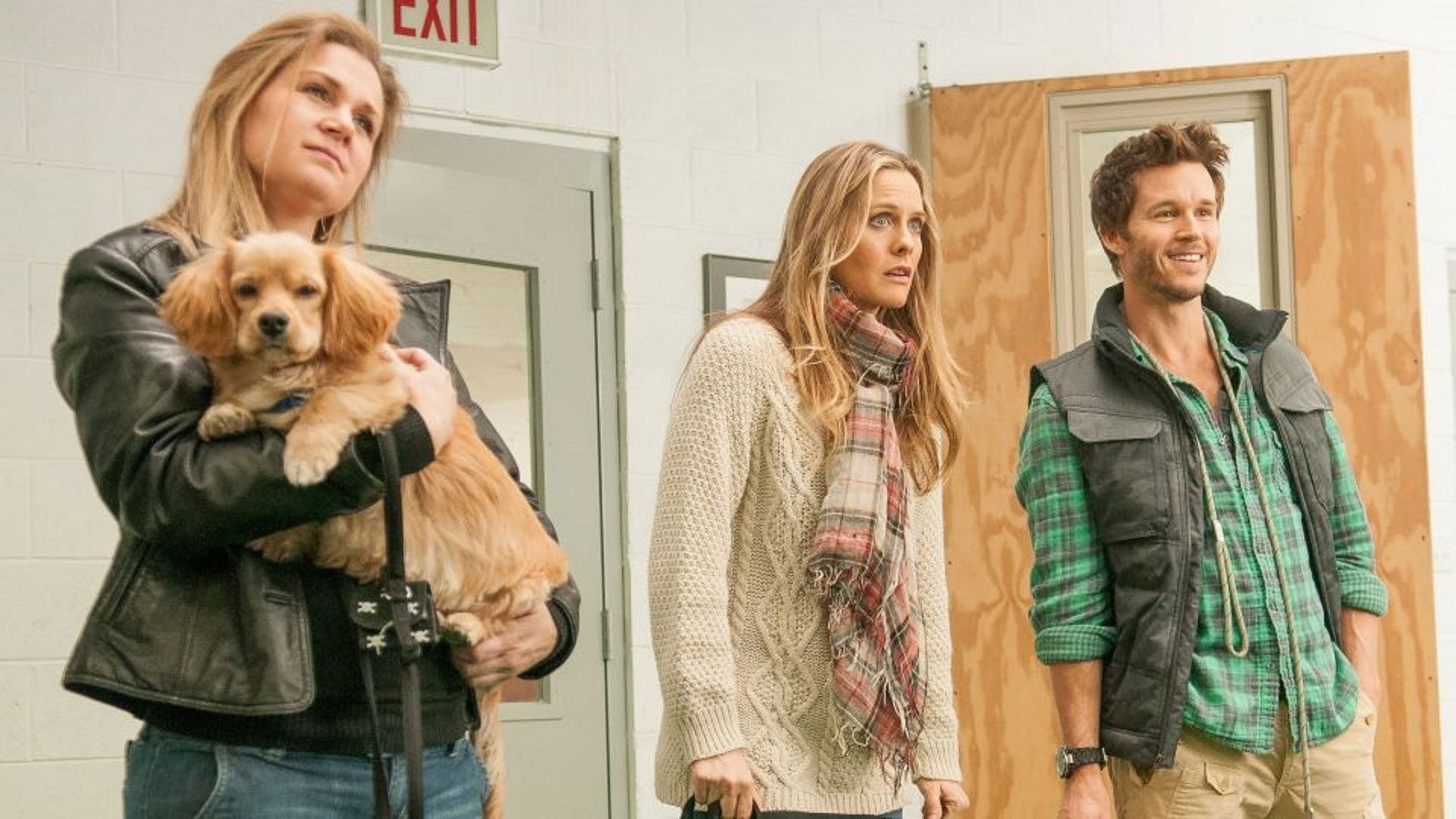 Foto do filme Um Cachorro Para Dois