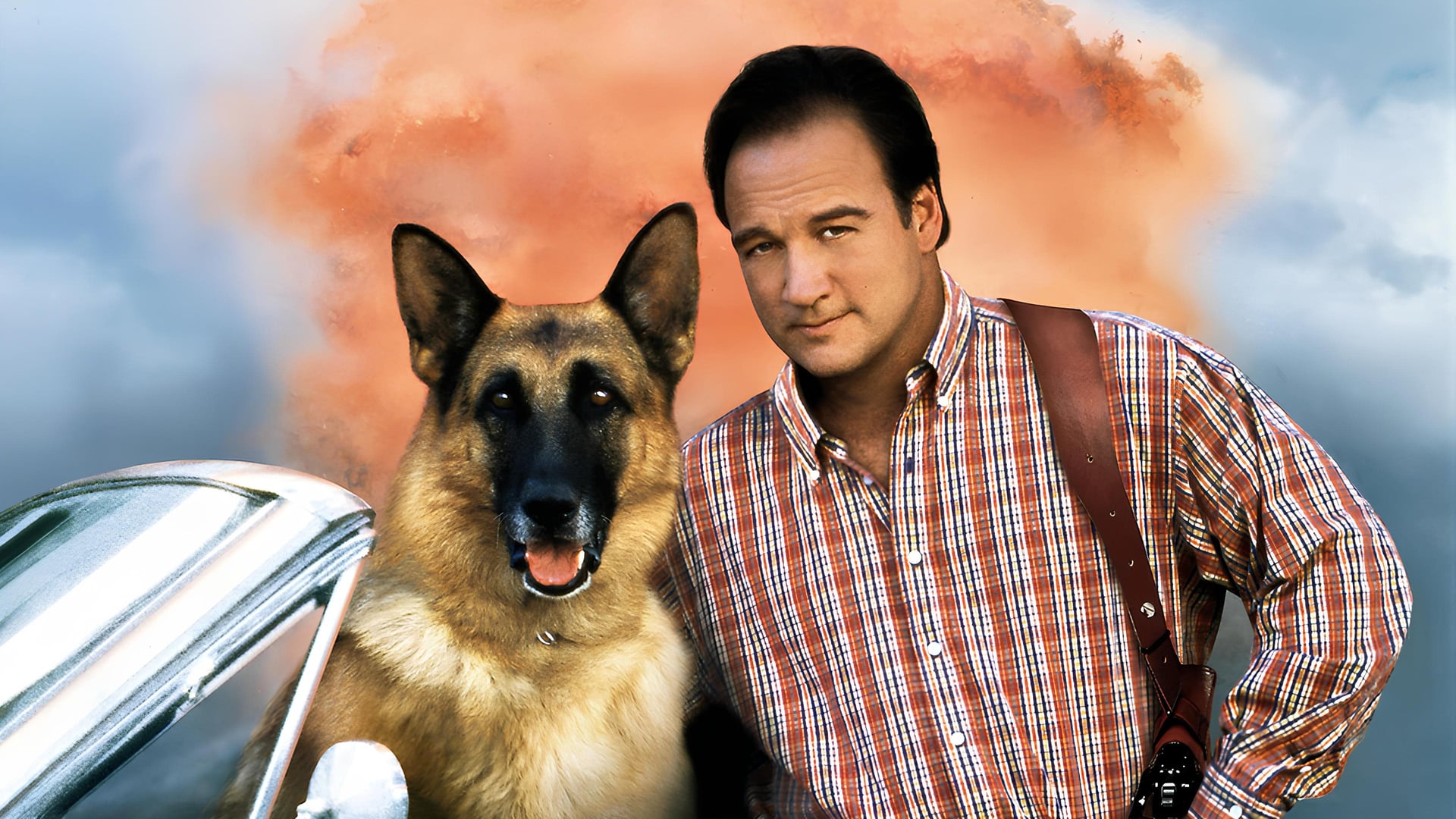 Foto do filme K-911: Um Policial Bom pra Cachorro 2