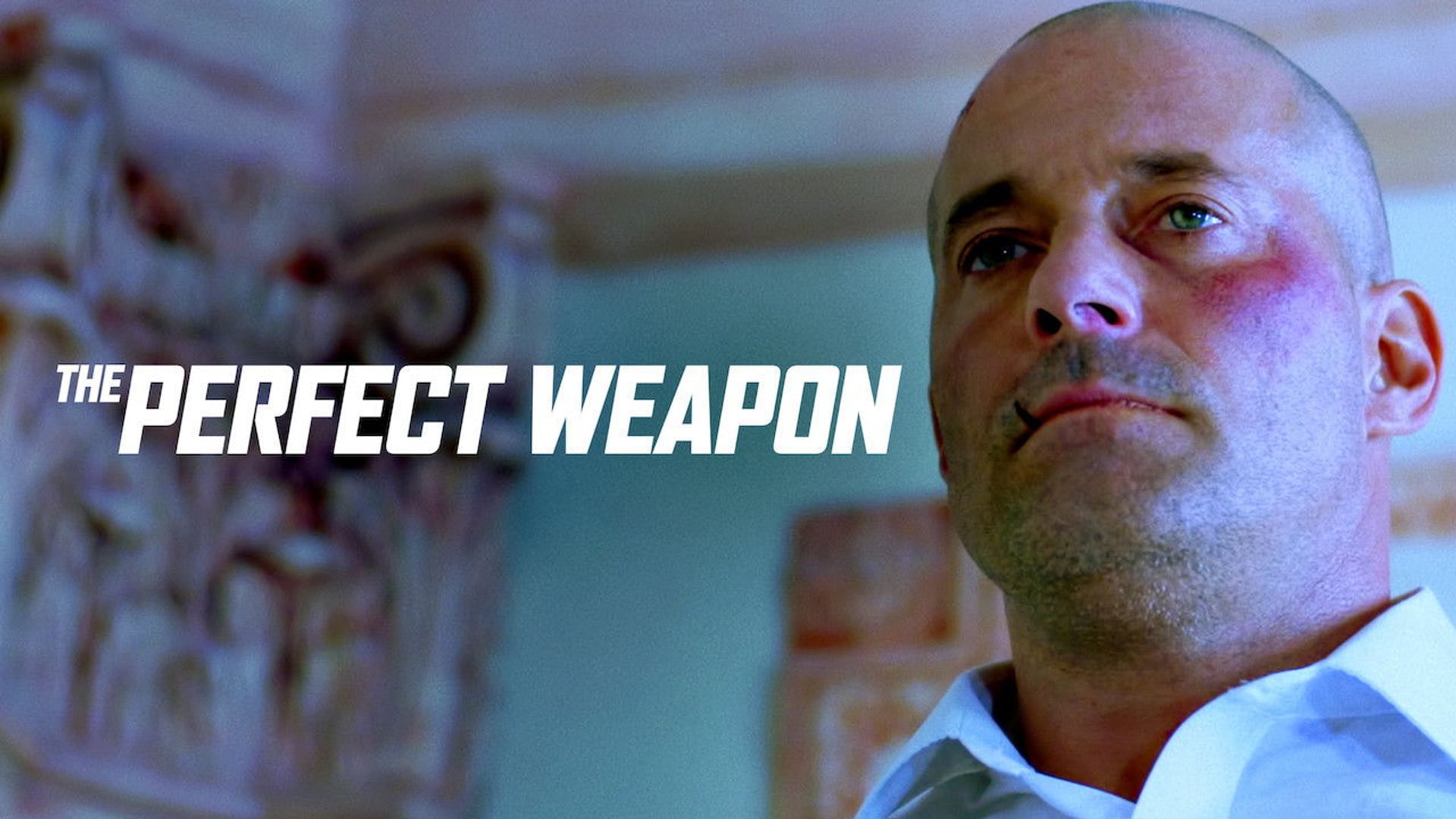 Foto do filme A Arma Perfeita