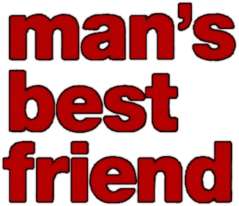 Foto do filme Max: Fidelidade Assassina