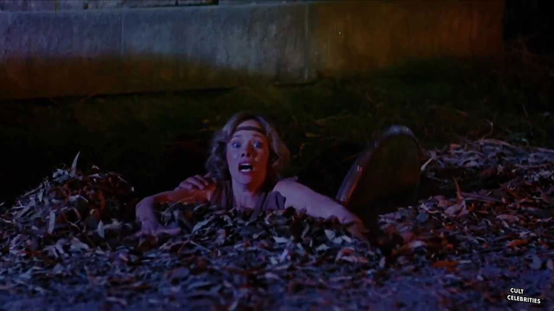 Foto do filme Sorceress