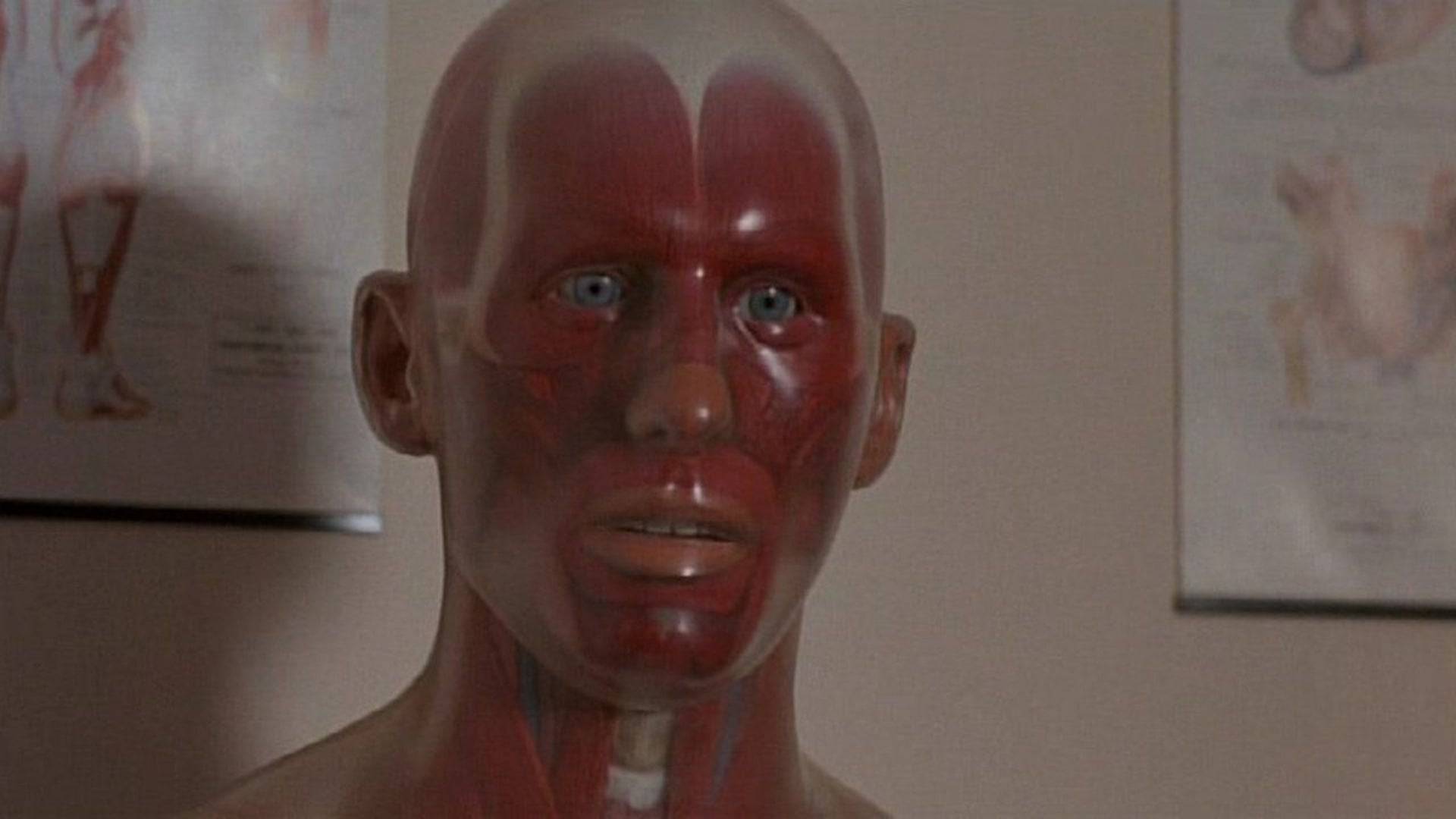 Foto do filme Pin: Uma Jornada Além da Loucura