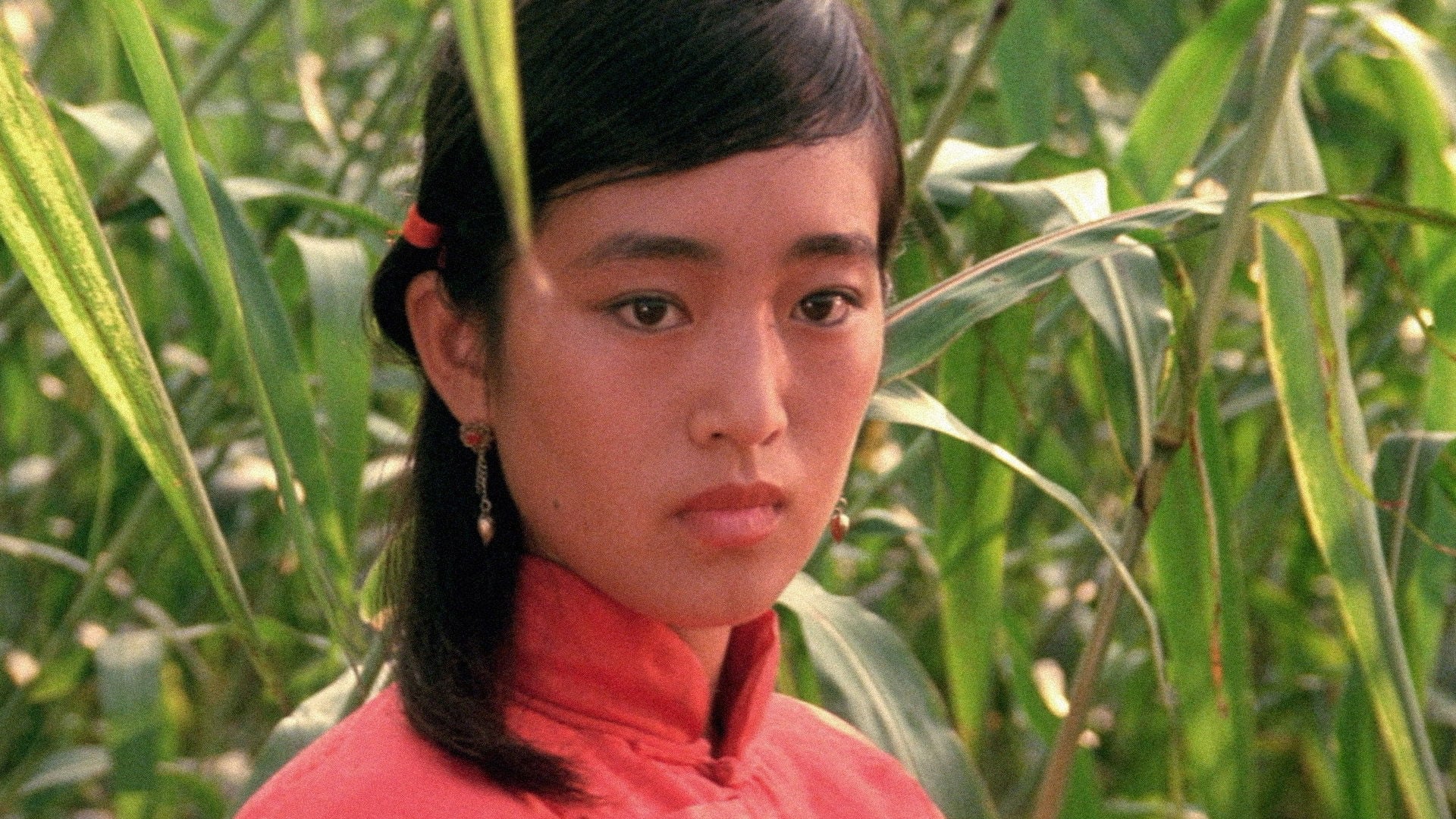 Foto do filme Sorgo Vermelho