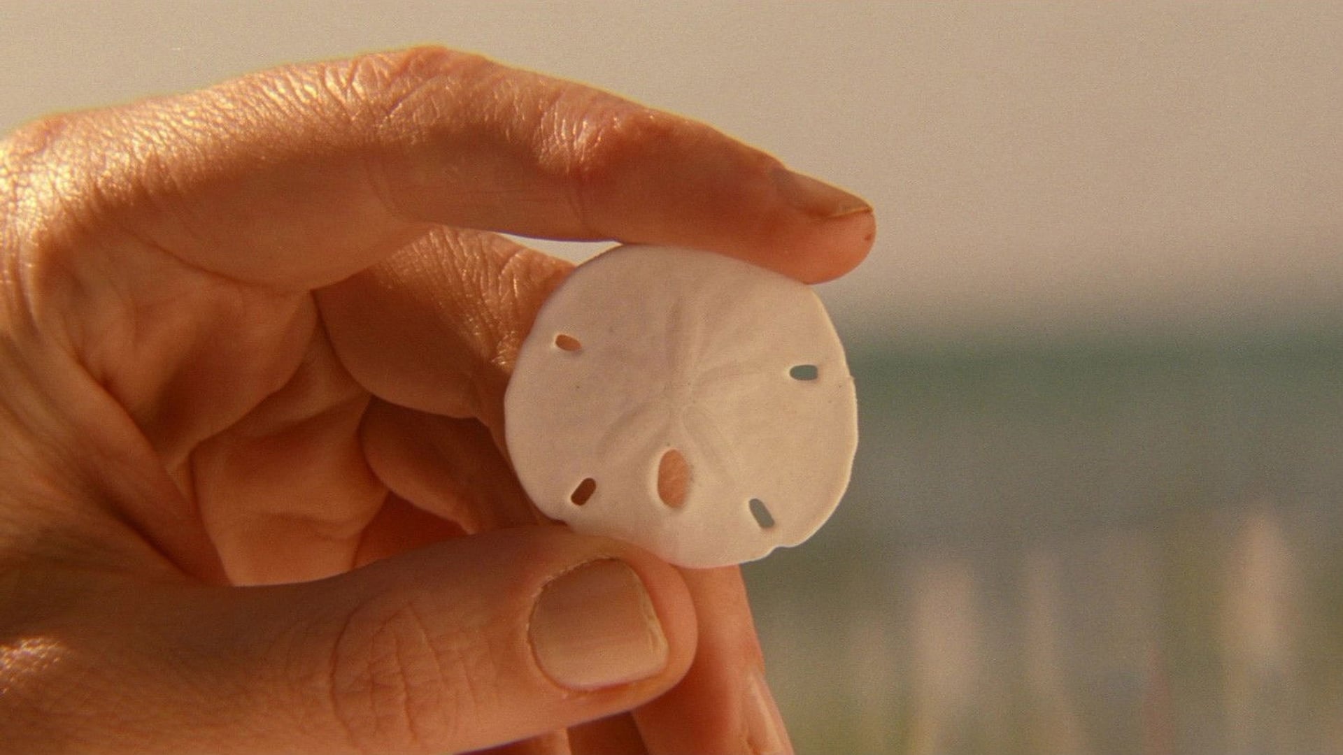 Foto do filme A Vida Marinha com Steve Zissou