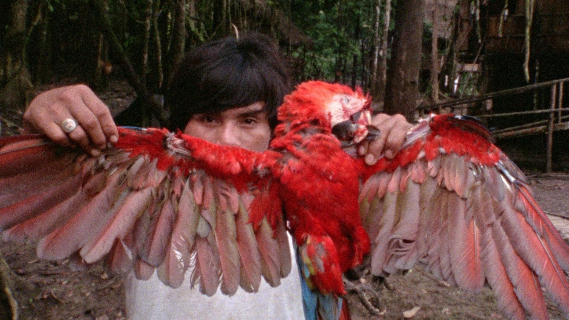 Foto do filme Burden of Dreams