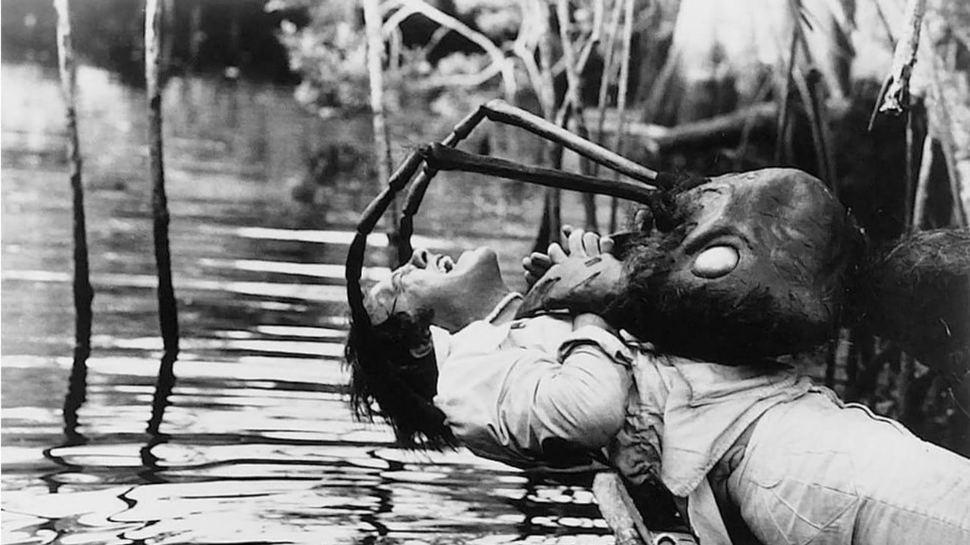 Foto do filme O Ataque das Formigas Gigantes