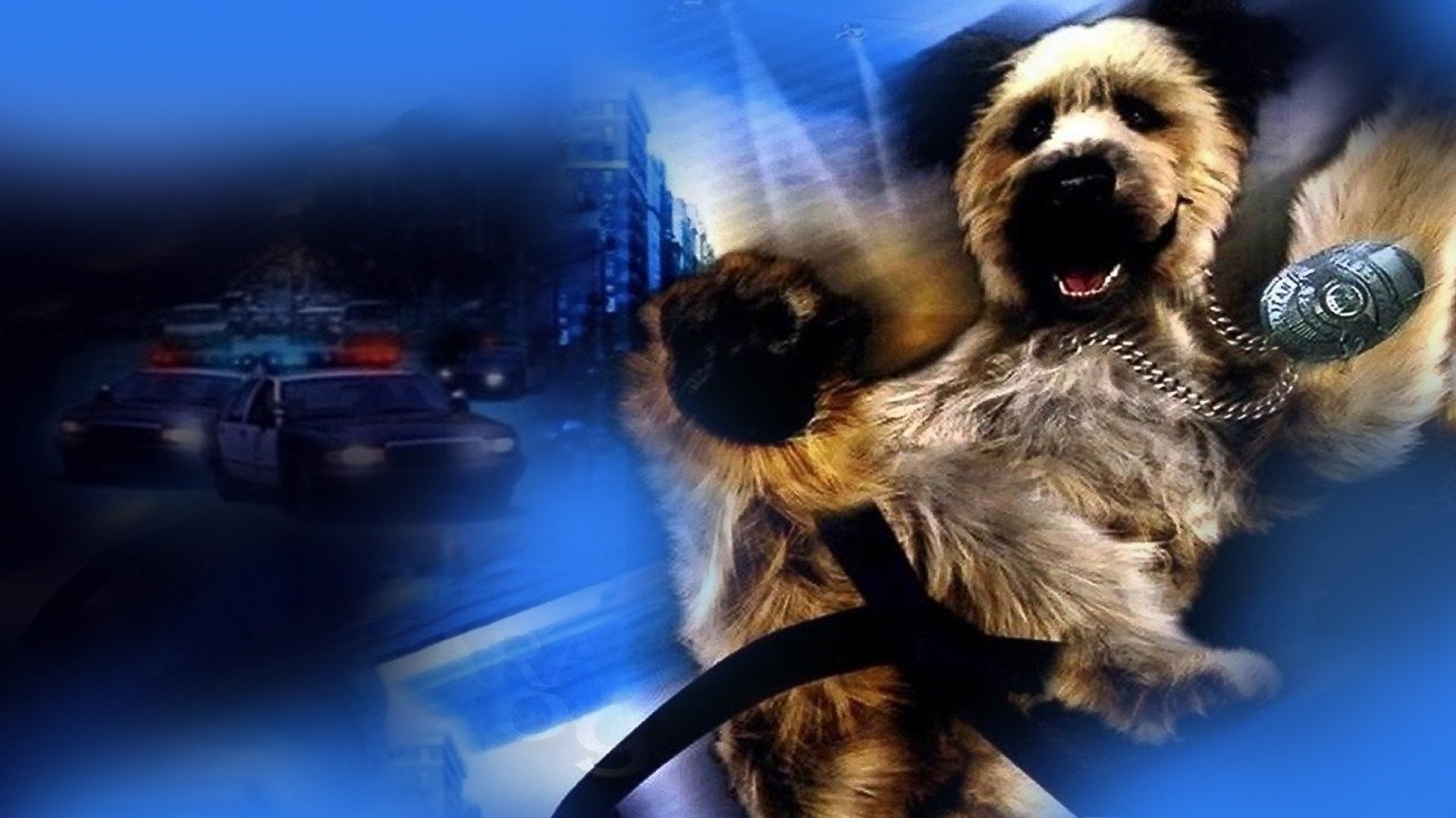 Foto do filme Karatê Dog: O Cão Marcial