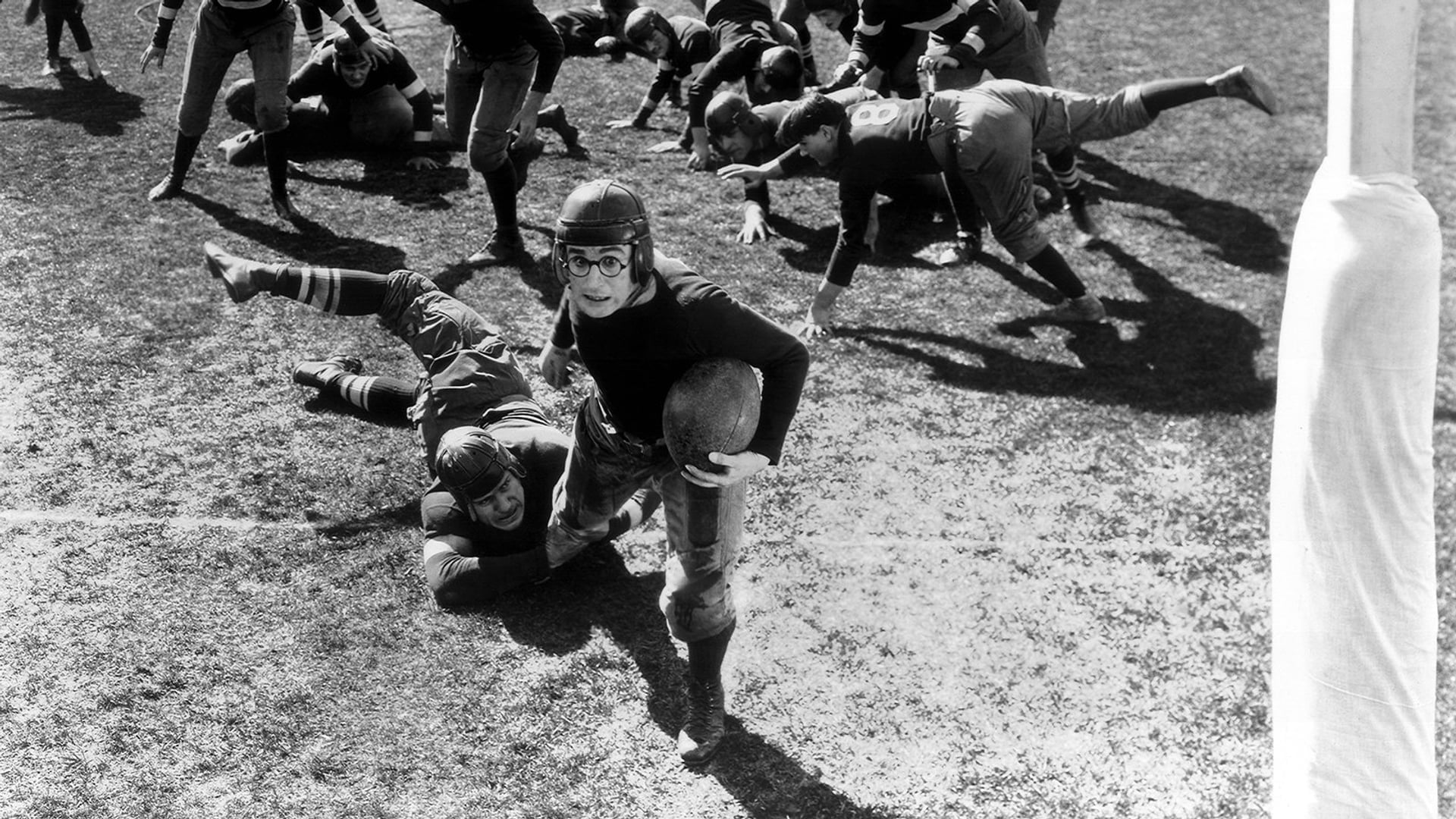 Foto do filme O Calouro