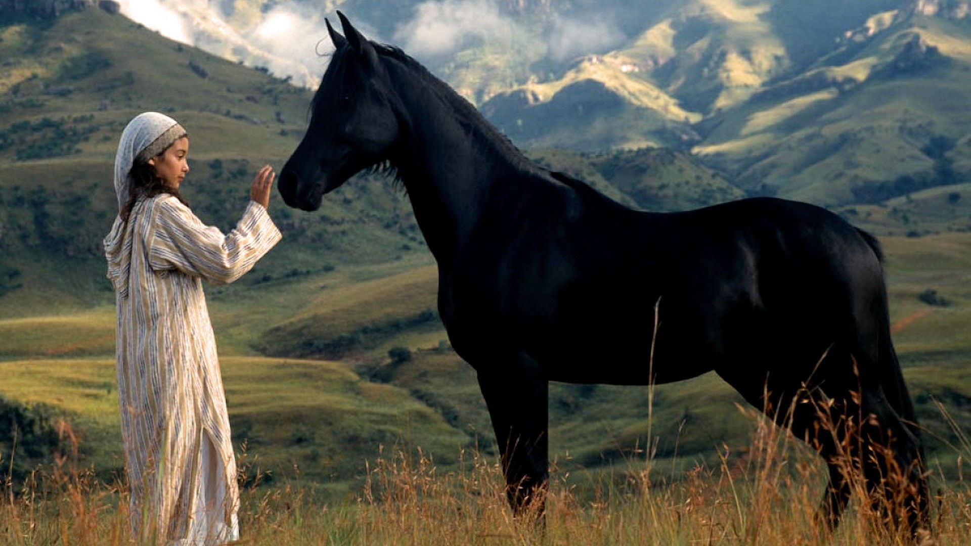 Foto do filme O Jovem Corcel Negro