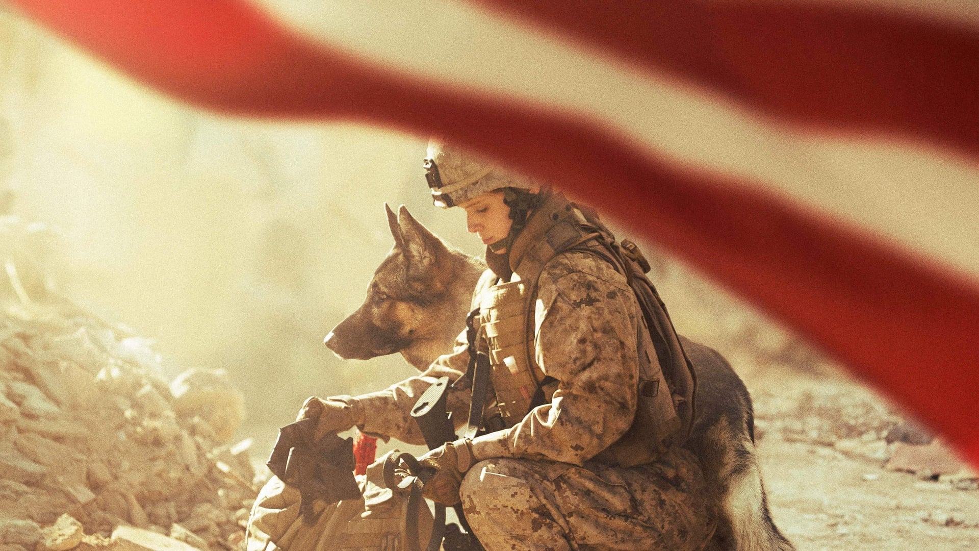 Foto do filme Megan Leavey
