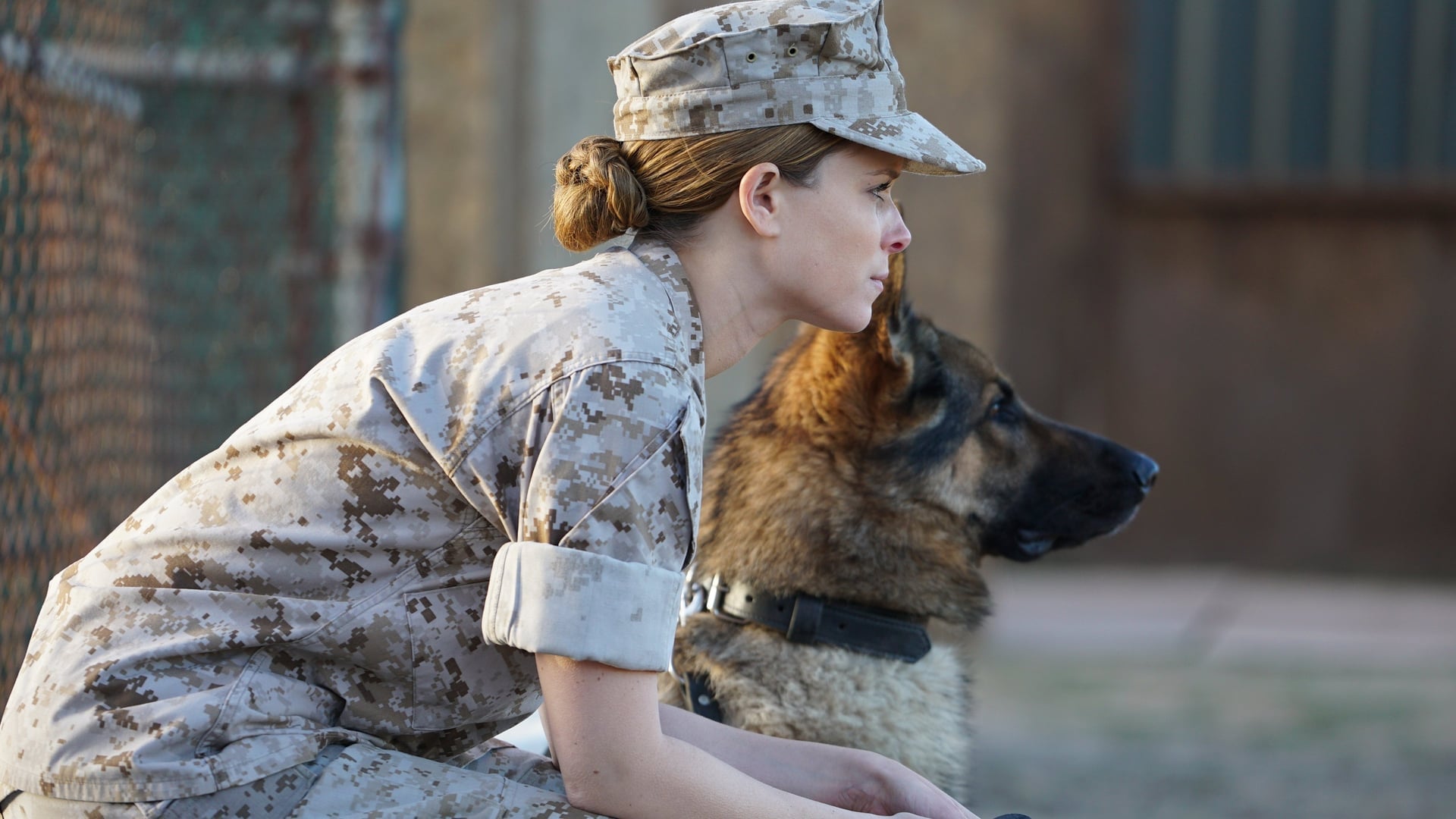 Foto do filme Megan Leavey