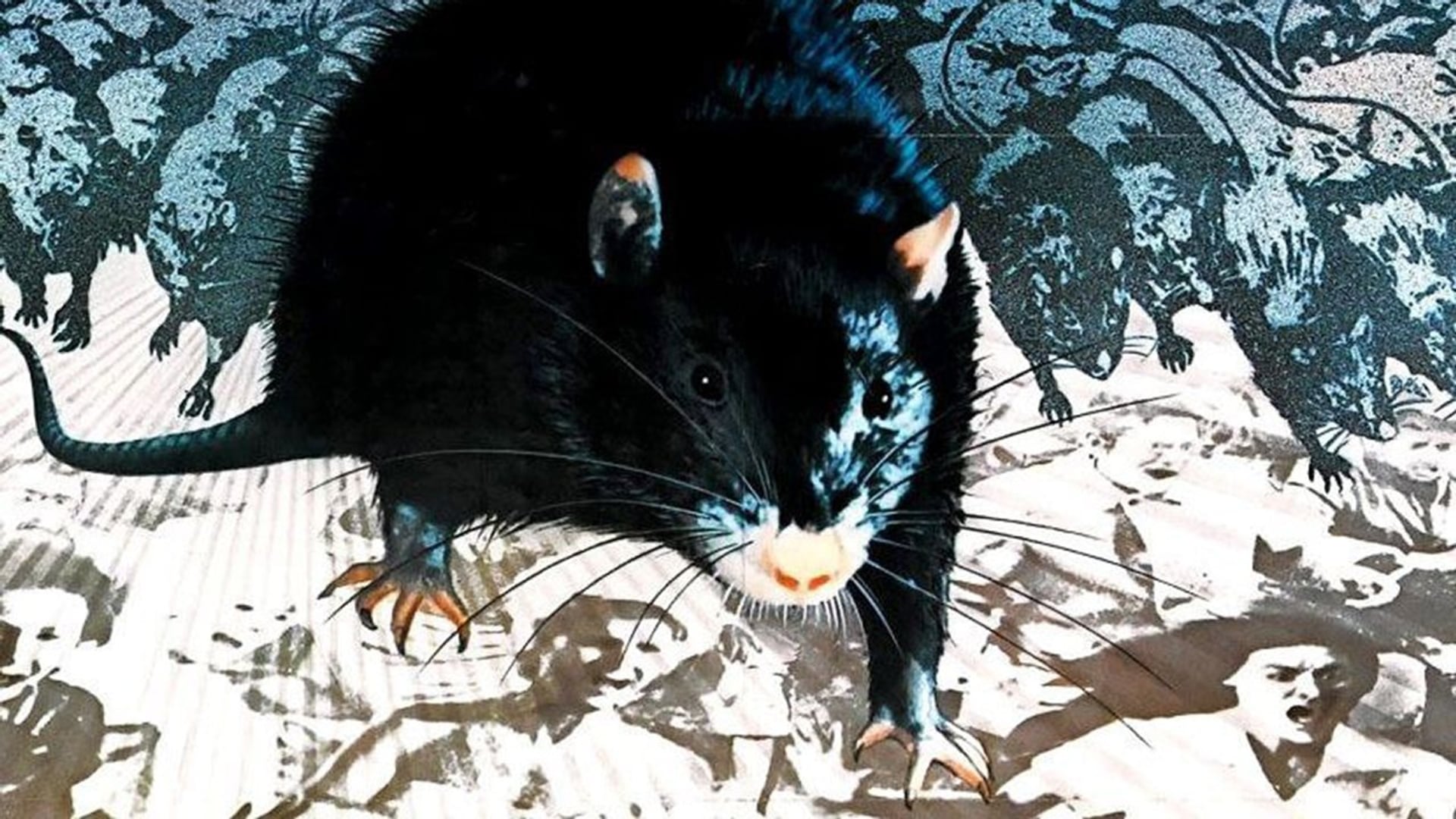 Foto do filme Ben, O Rato Assassino