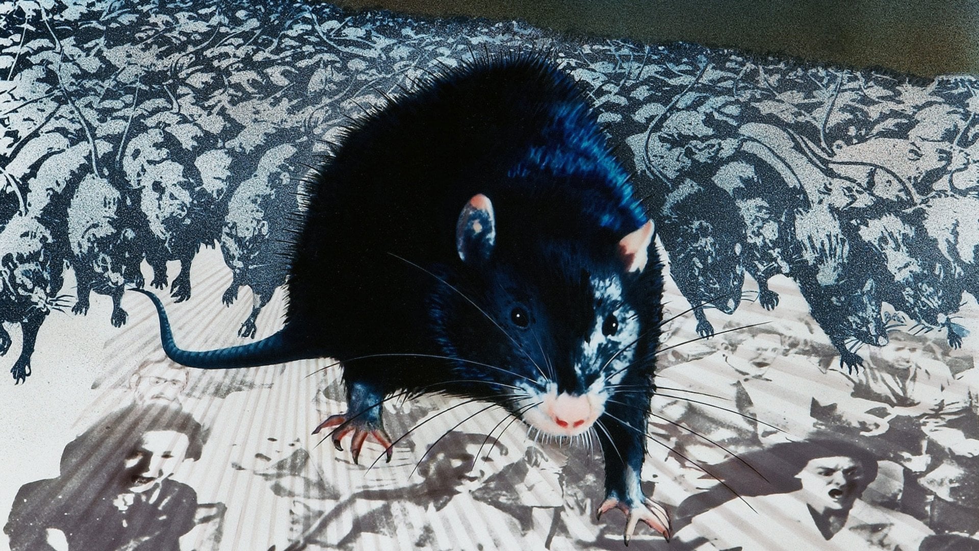 Foto do filme Ben, O Rato Assassino