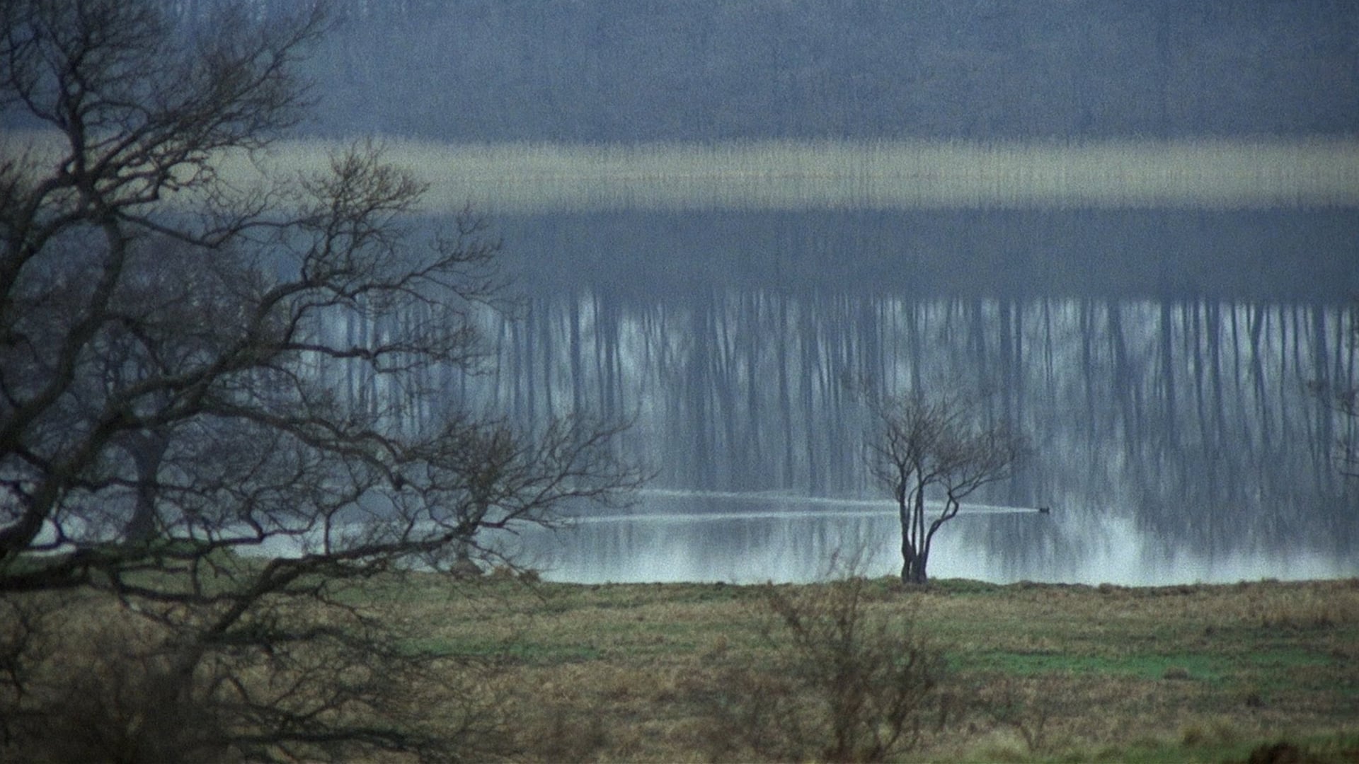 Foto do filme O Preço do Triunfo