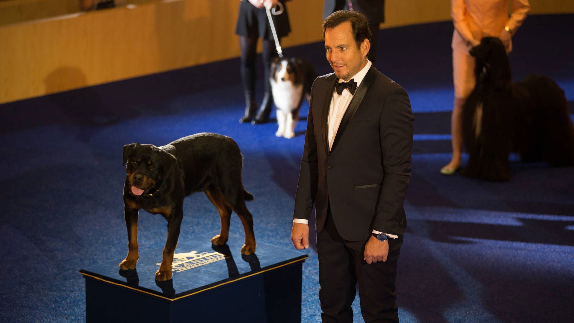 Foto do filme Show Dogs: O Agente Canino