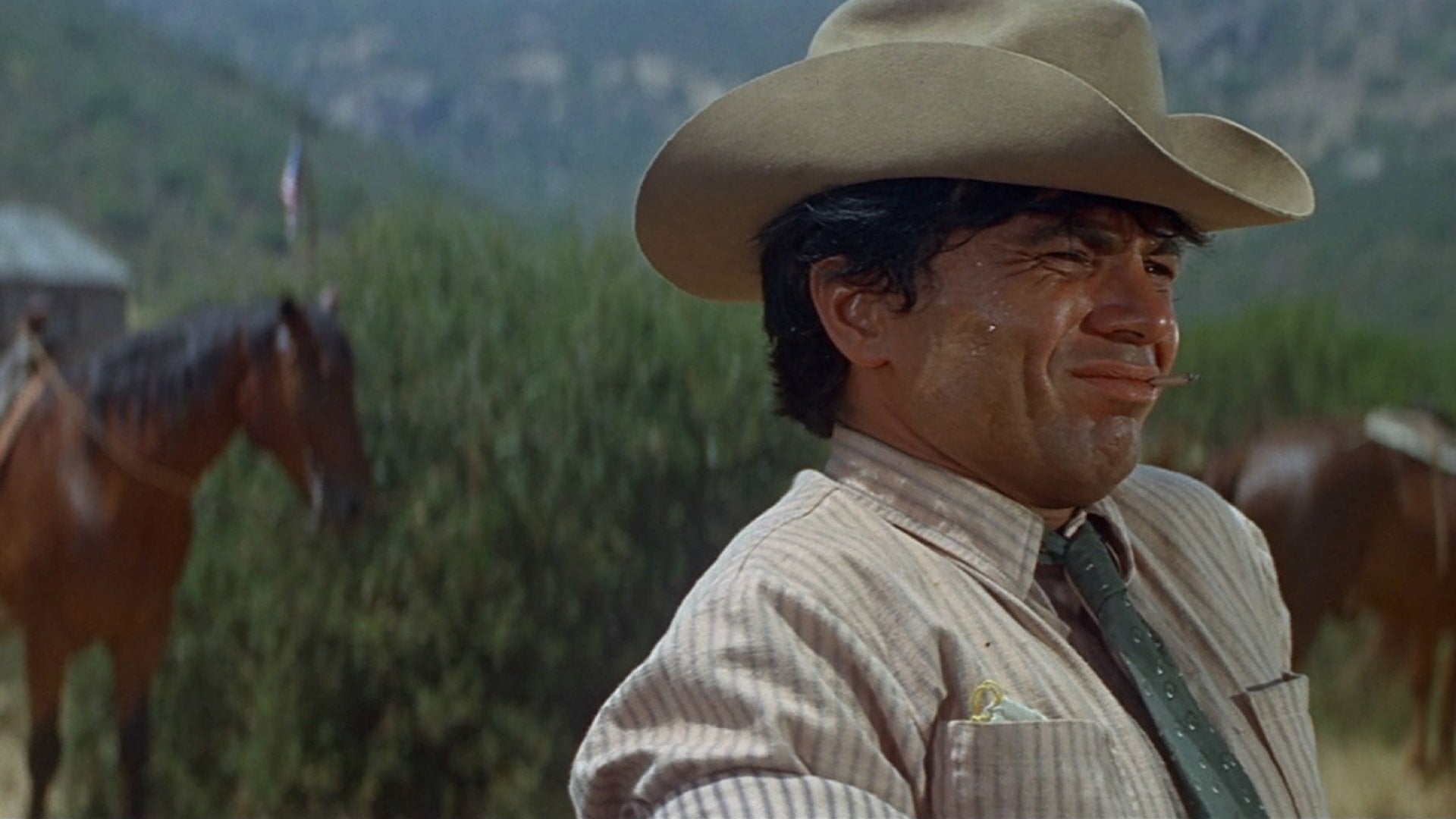 Foto do filme Willie Boy