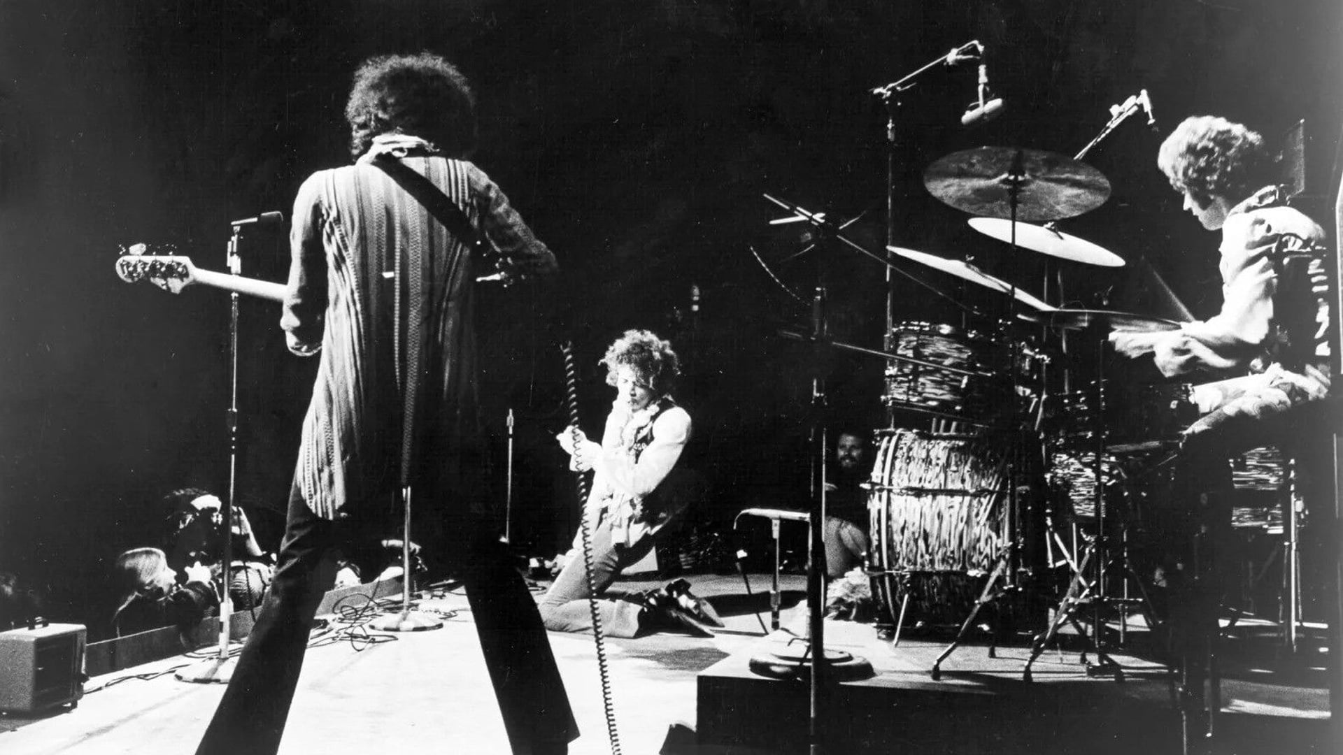 Foto do filme Monterey Pop