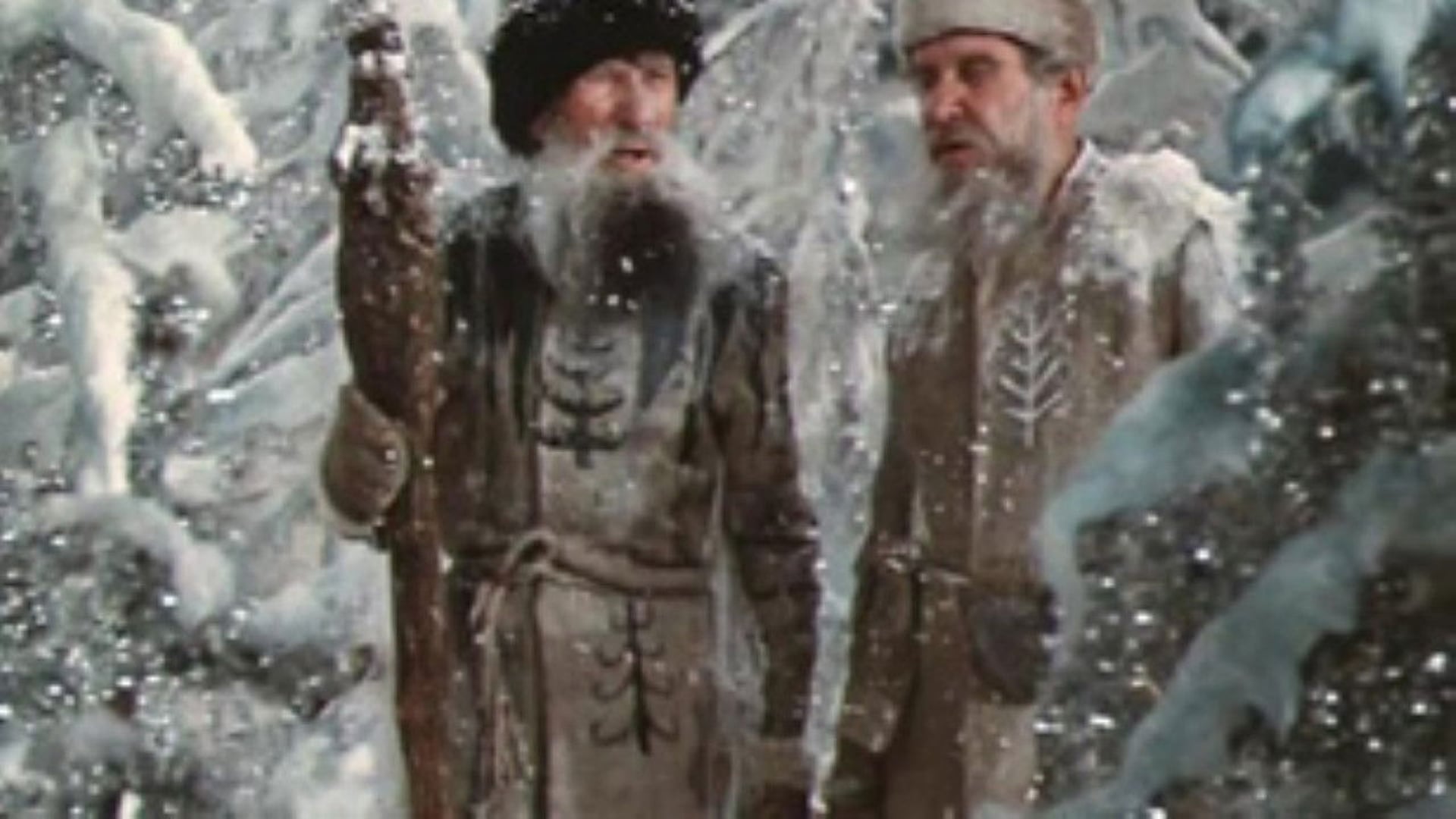Foto do filme The Twelve Months